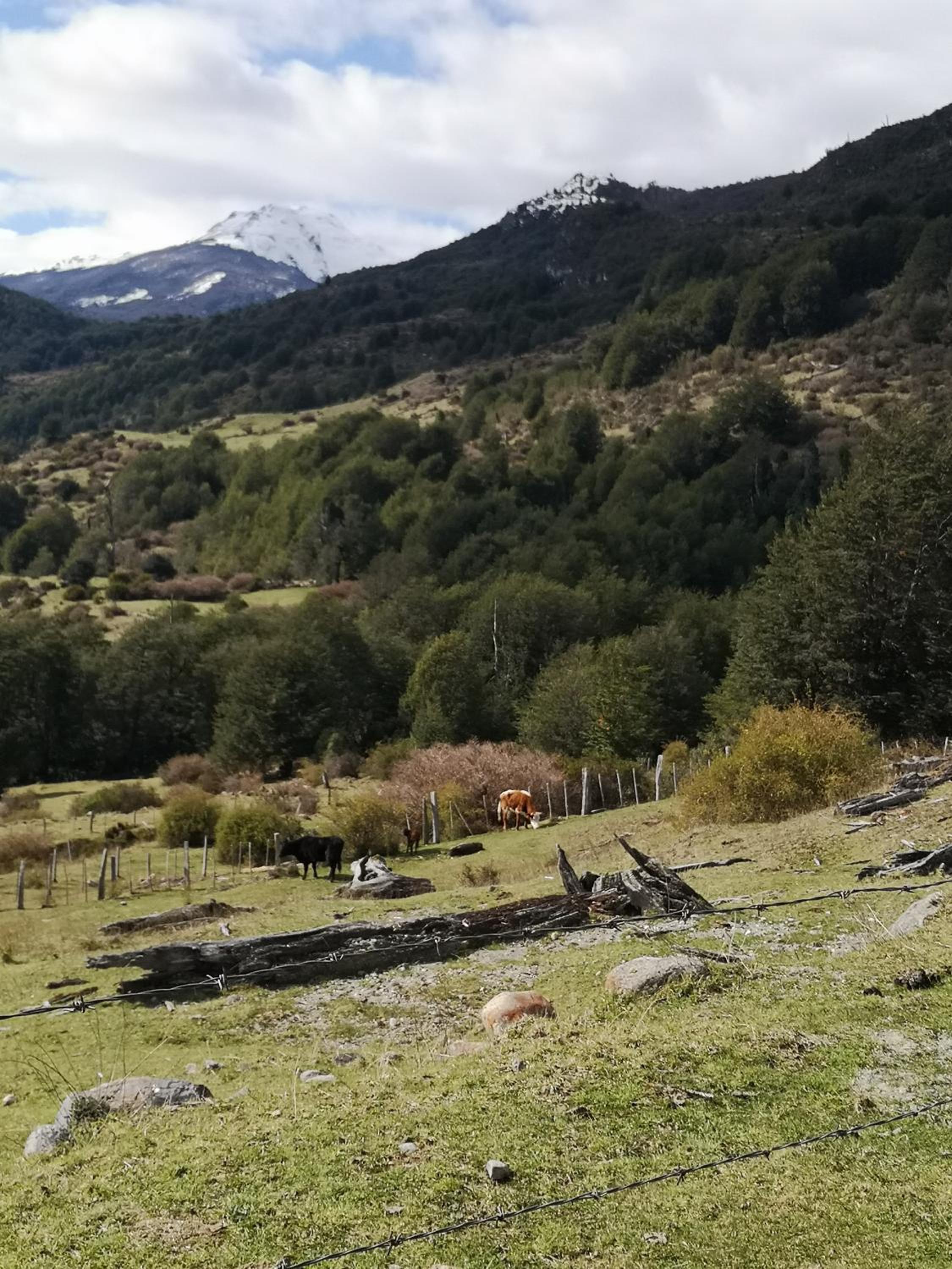 Cabañas Kela