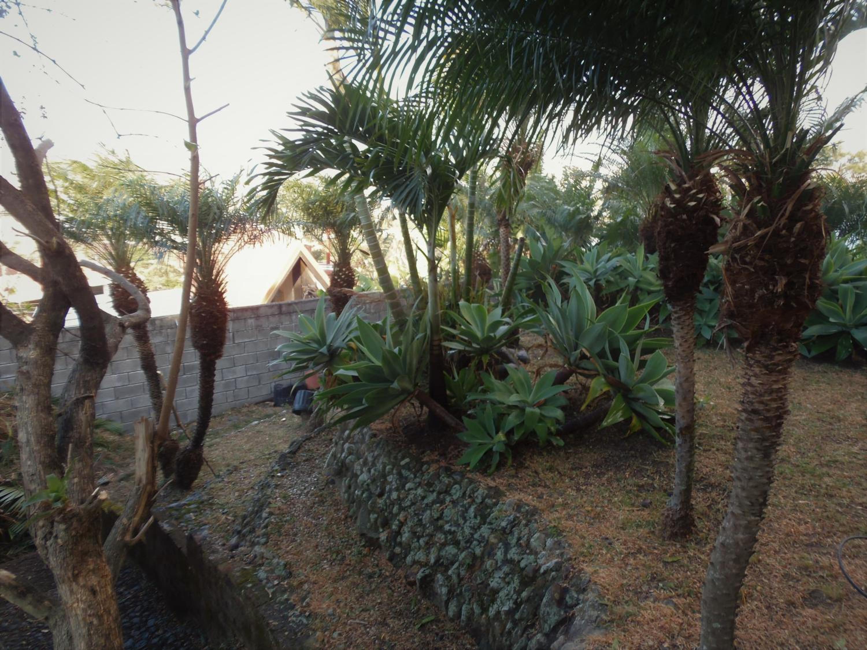 Salamandra Room - Property Image 3