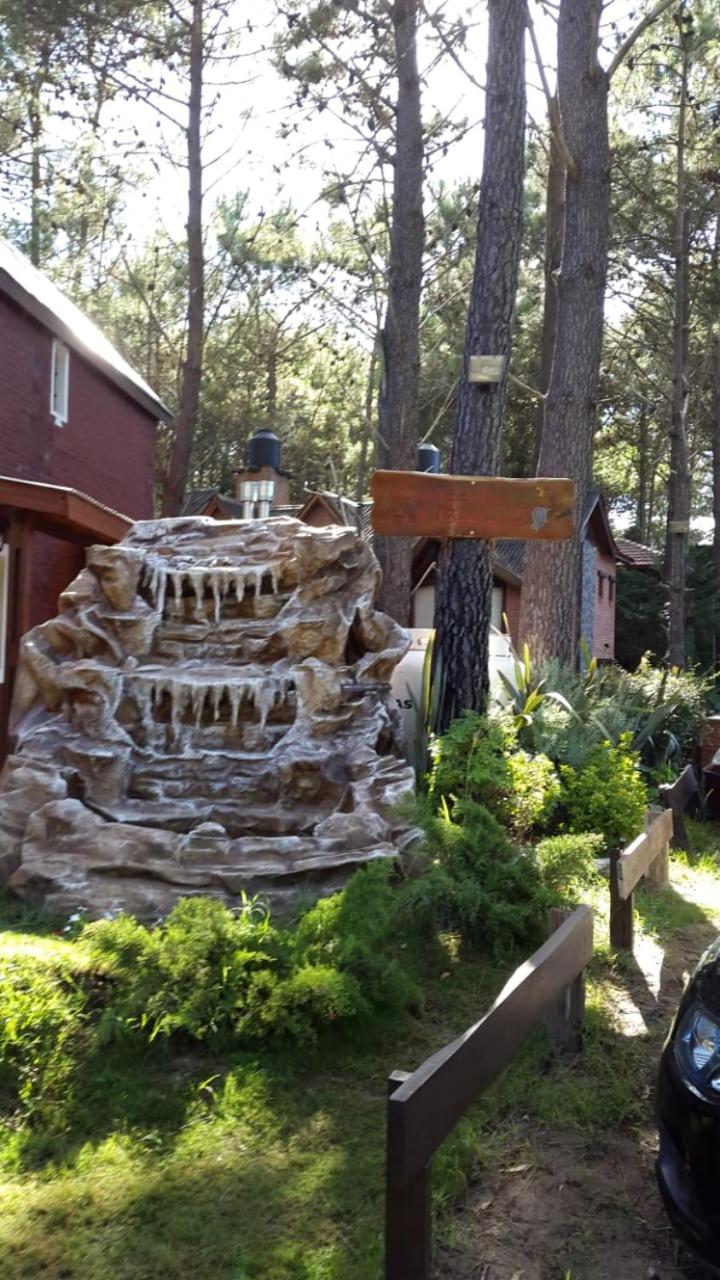 cascada del bosque