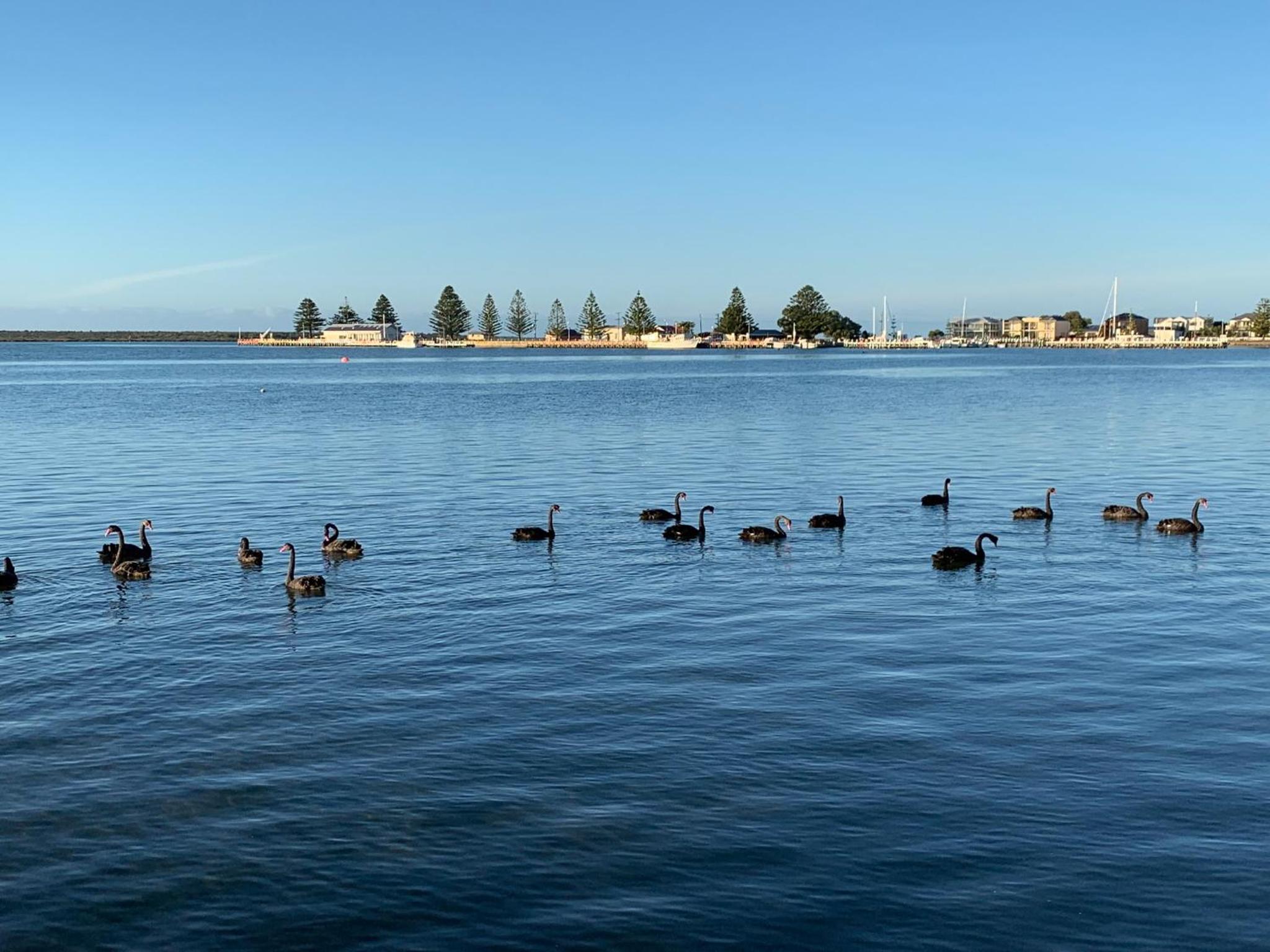 Boat Harbour Jetty B&B view 2