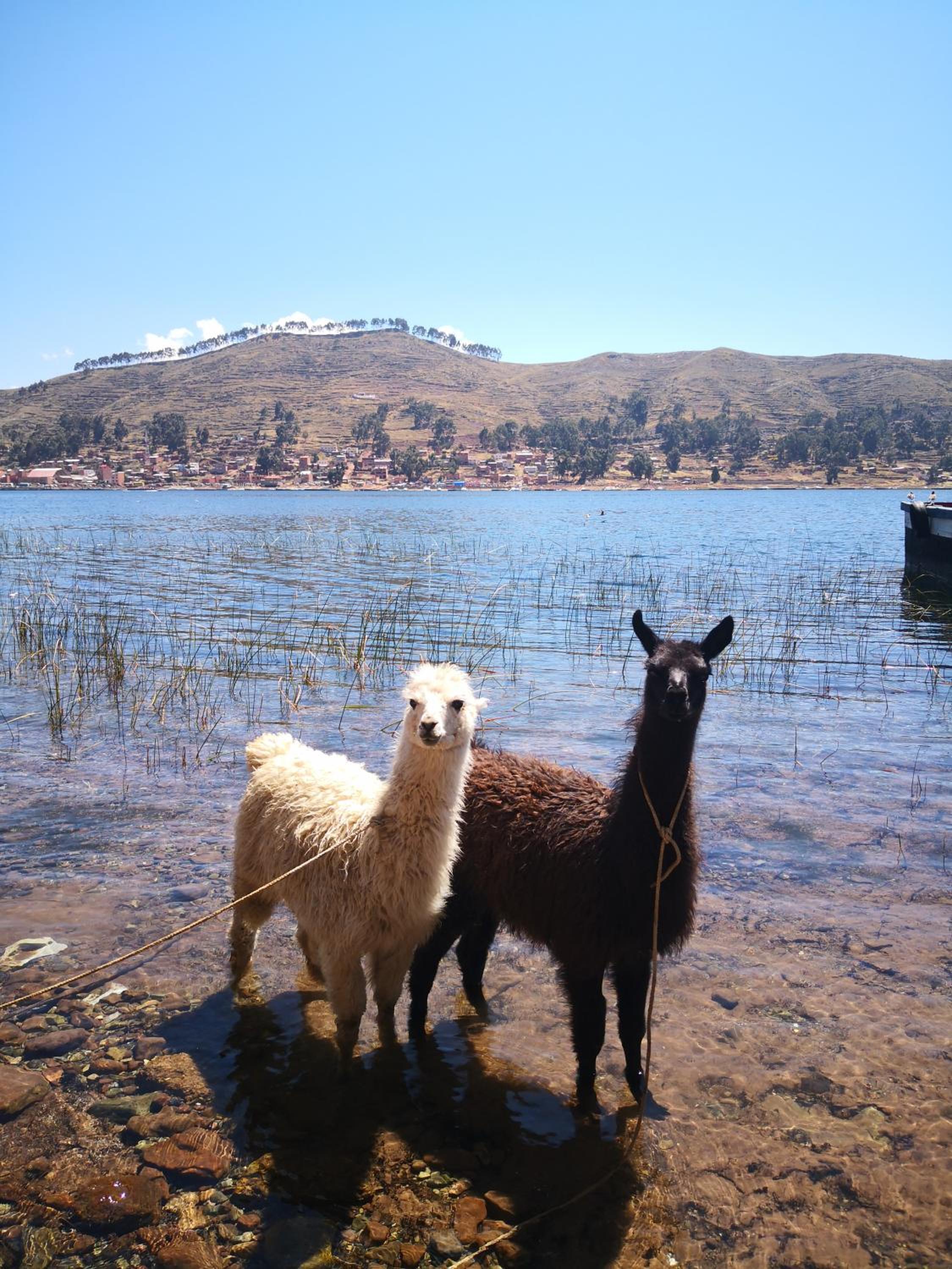 Complejo turístico 3810