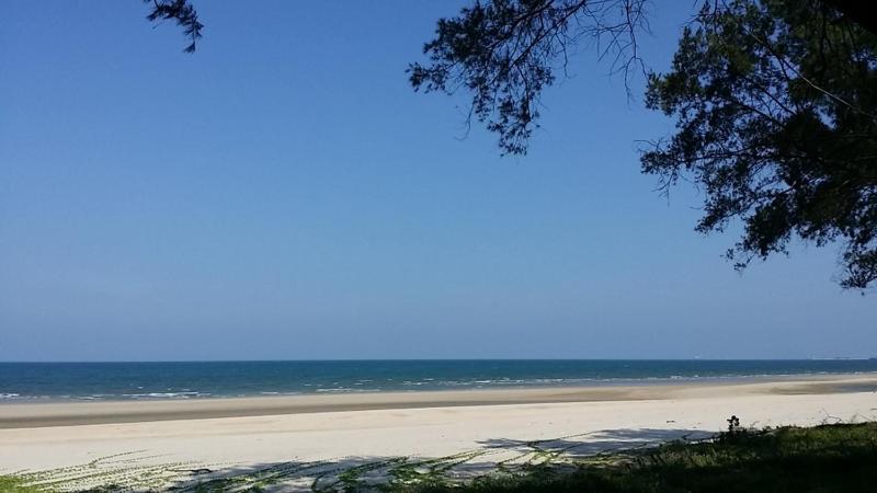 Photo 48