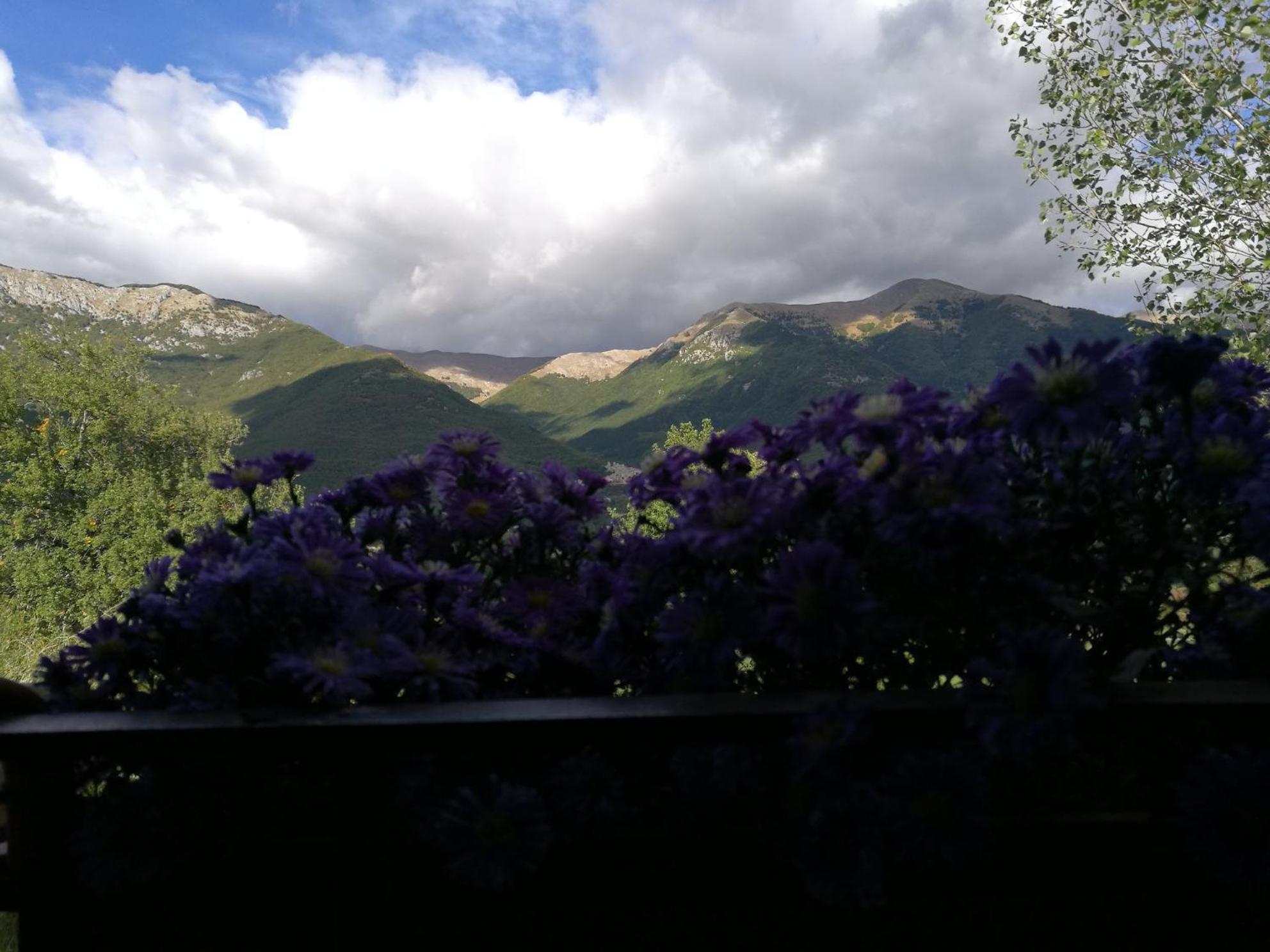 Tenuta Castelli photo 3