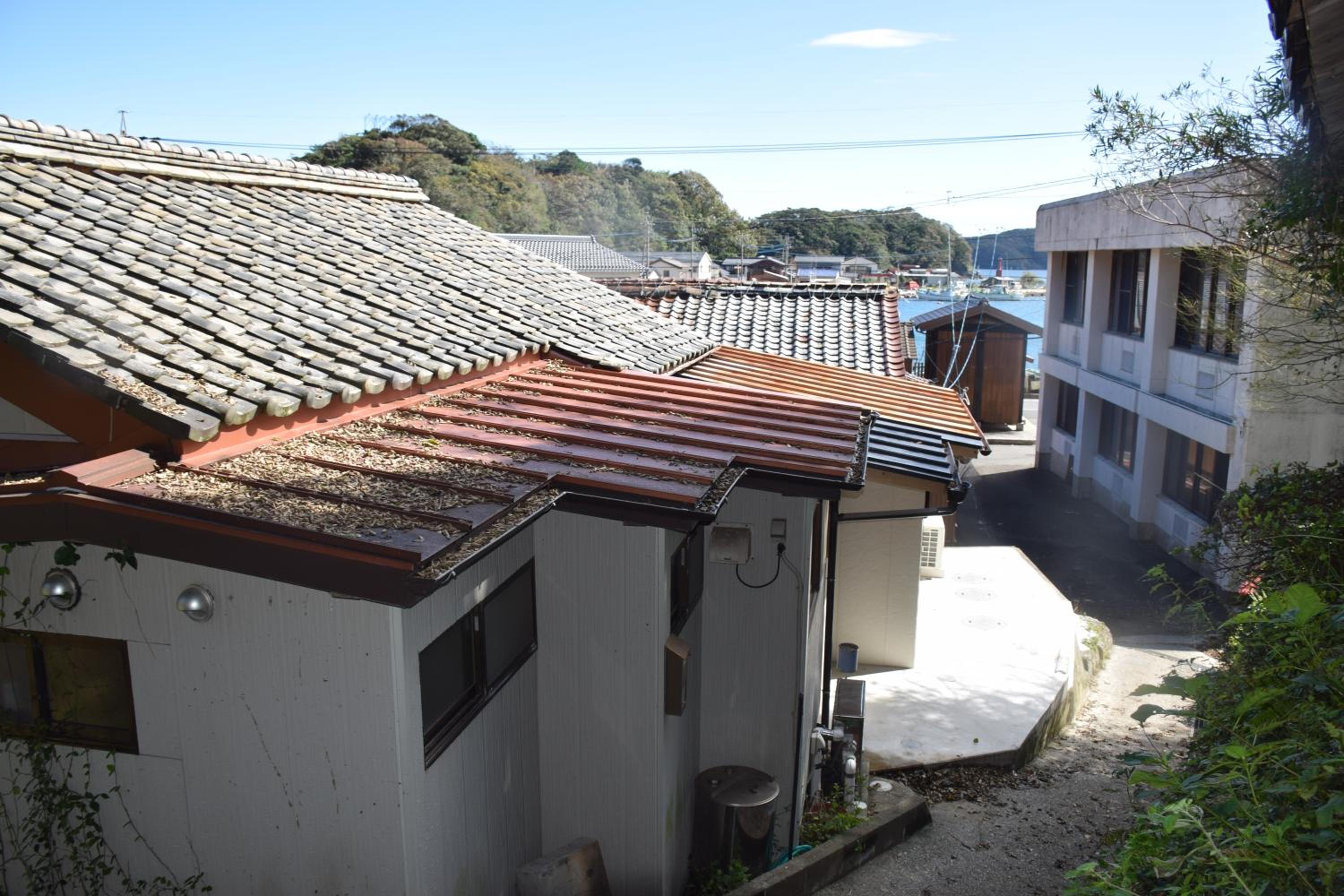 Photo 47