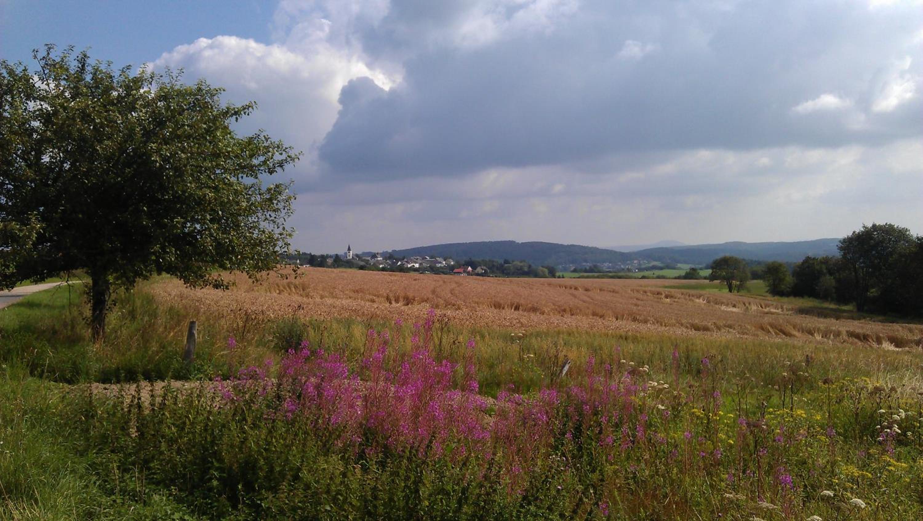 Ferienwohnung Ostwind