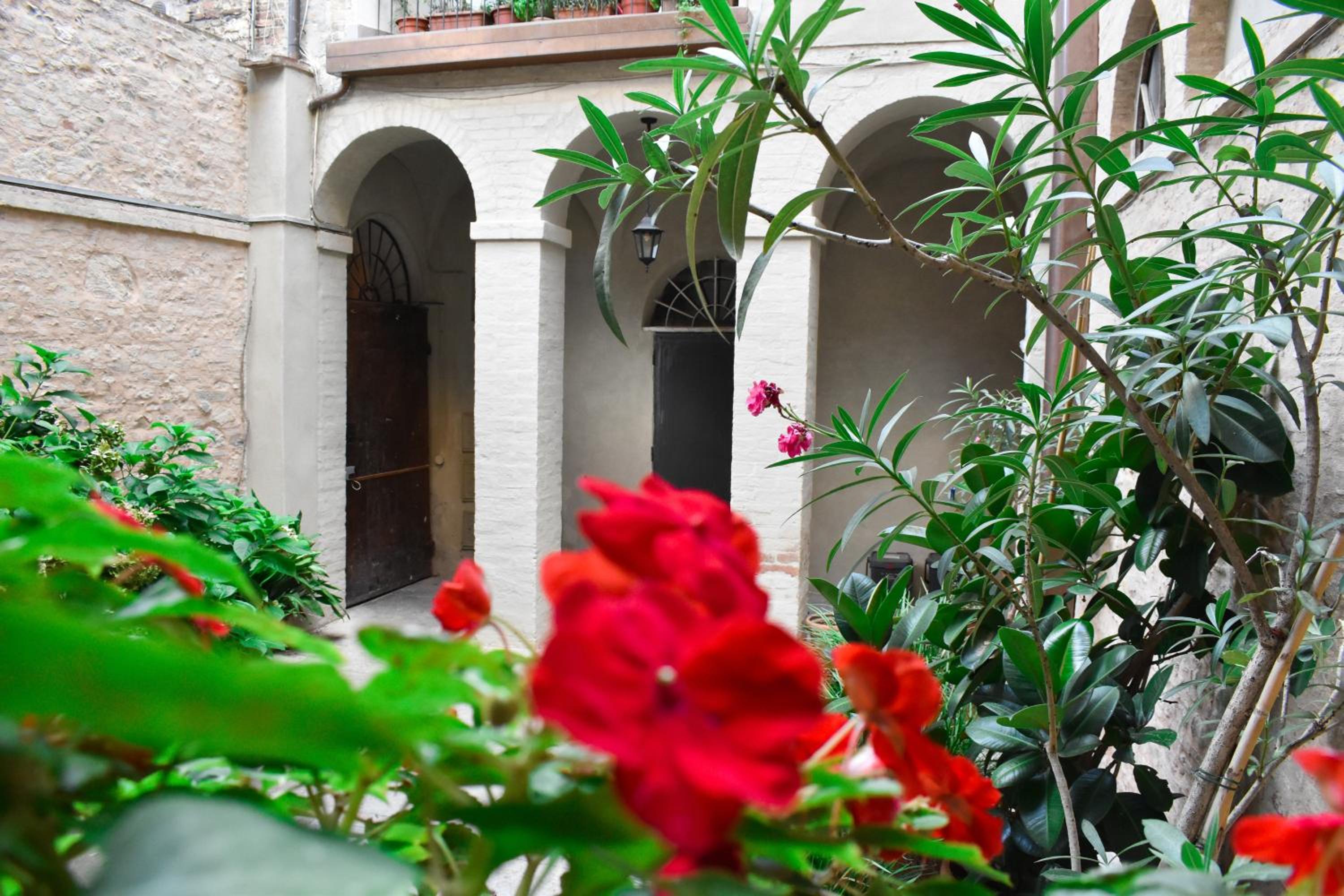 Il Nido del Canterino view 4