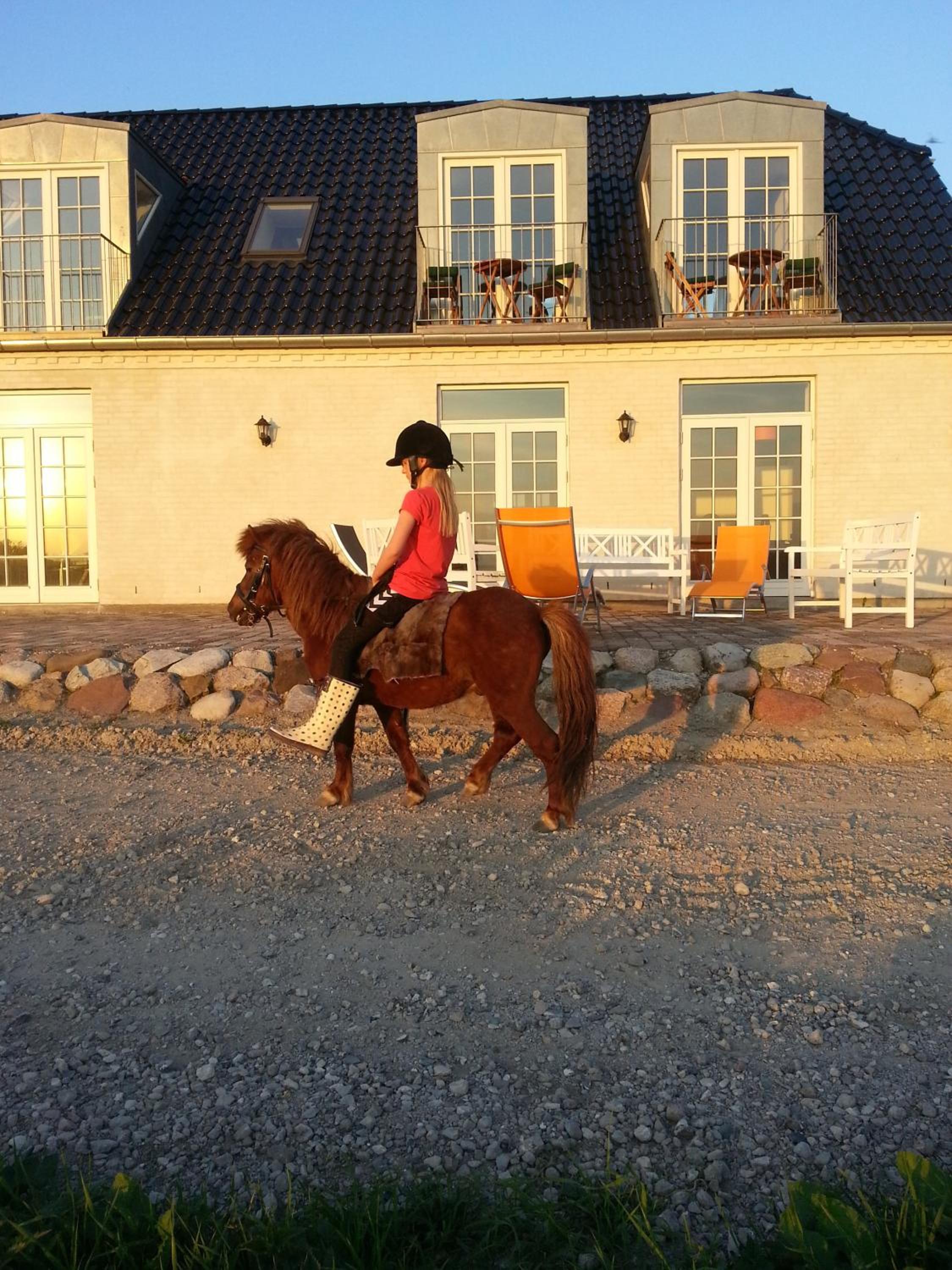 Roskilde B&B