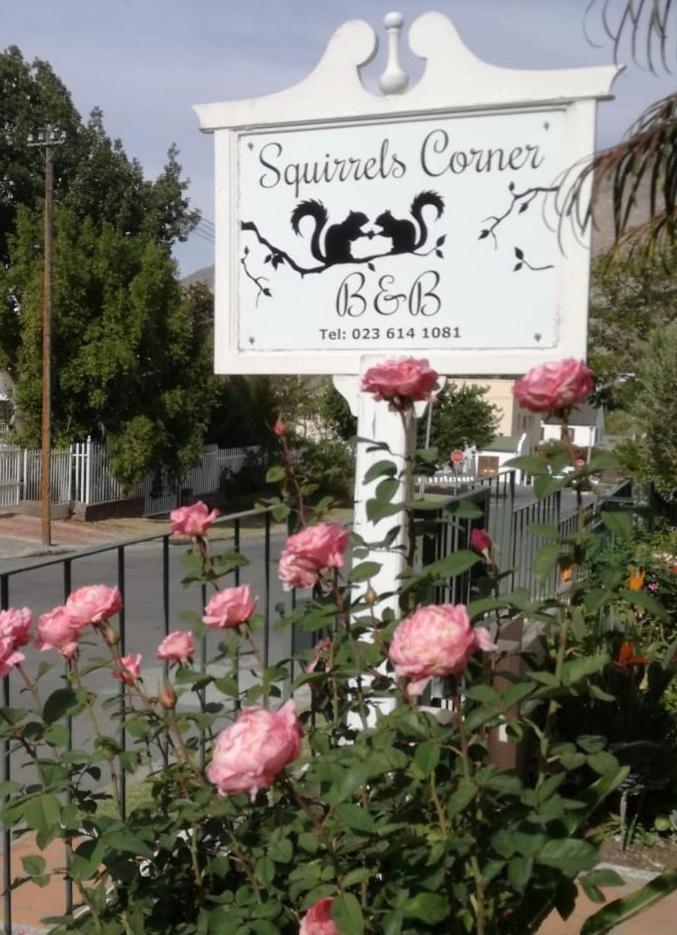 Squirrels Corner