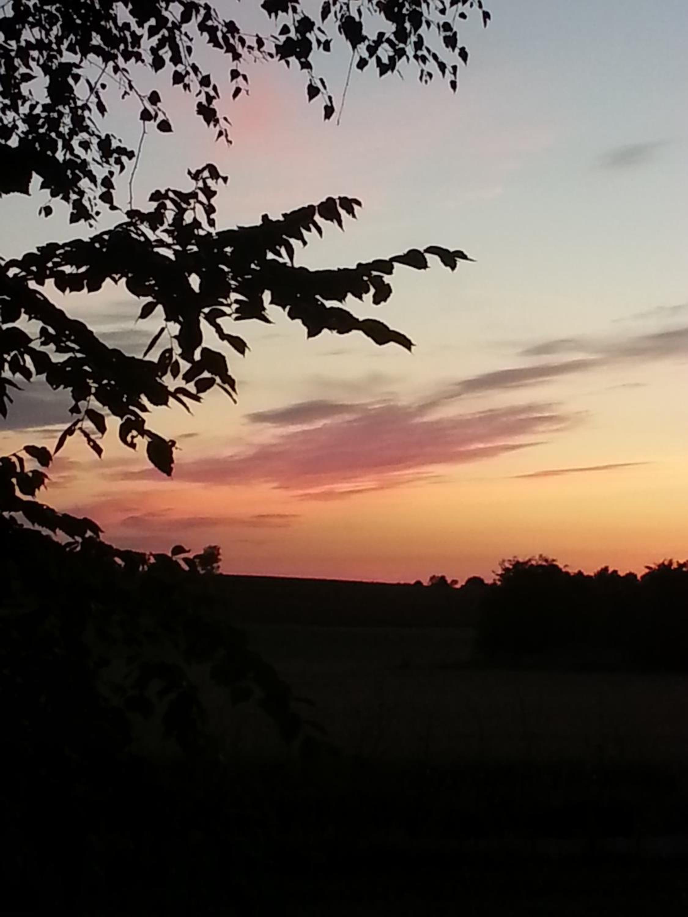 Roskilde B&B