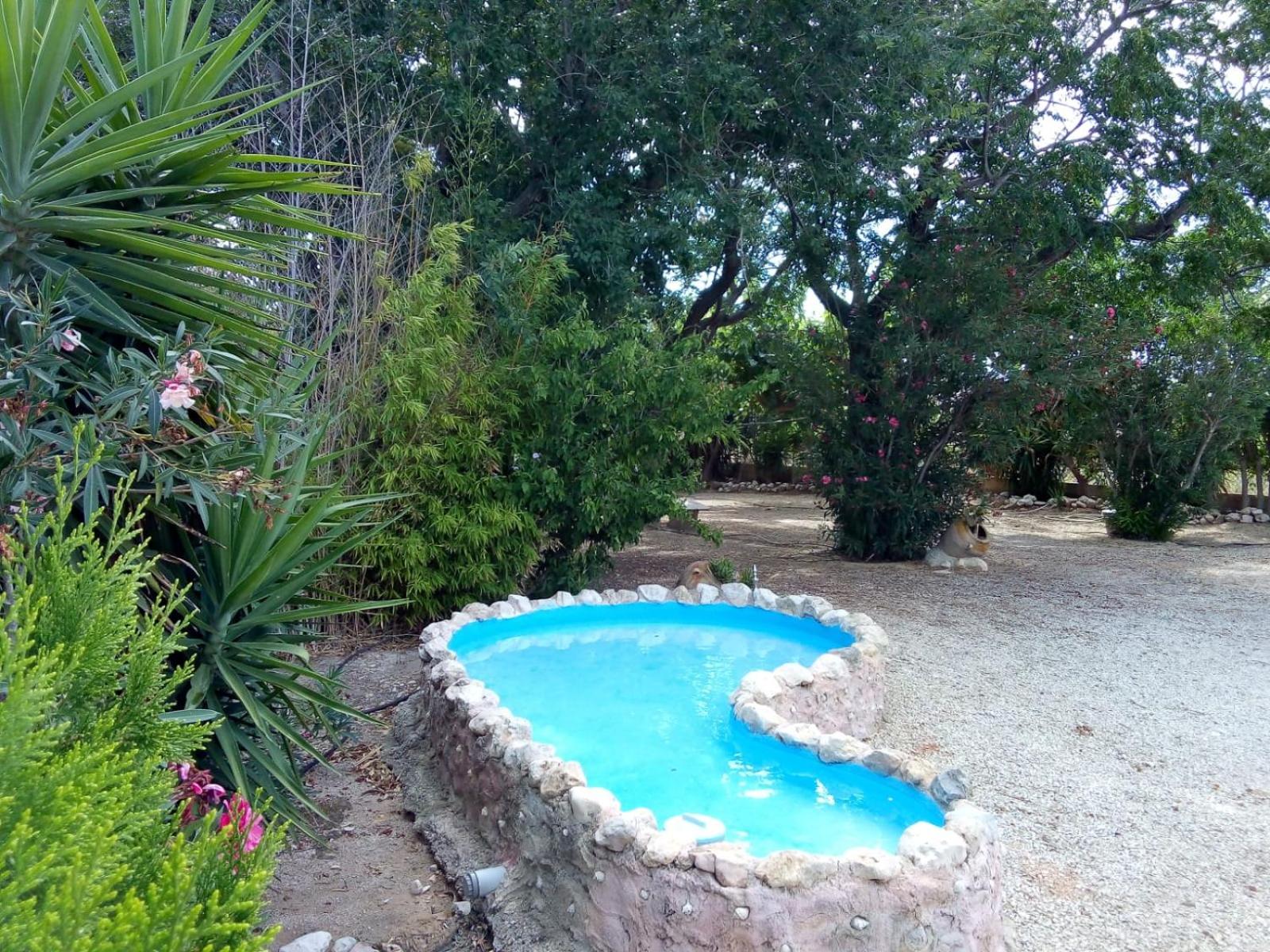 Photo 36