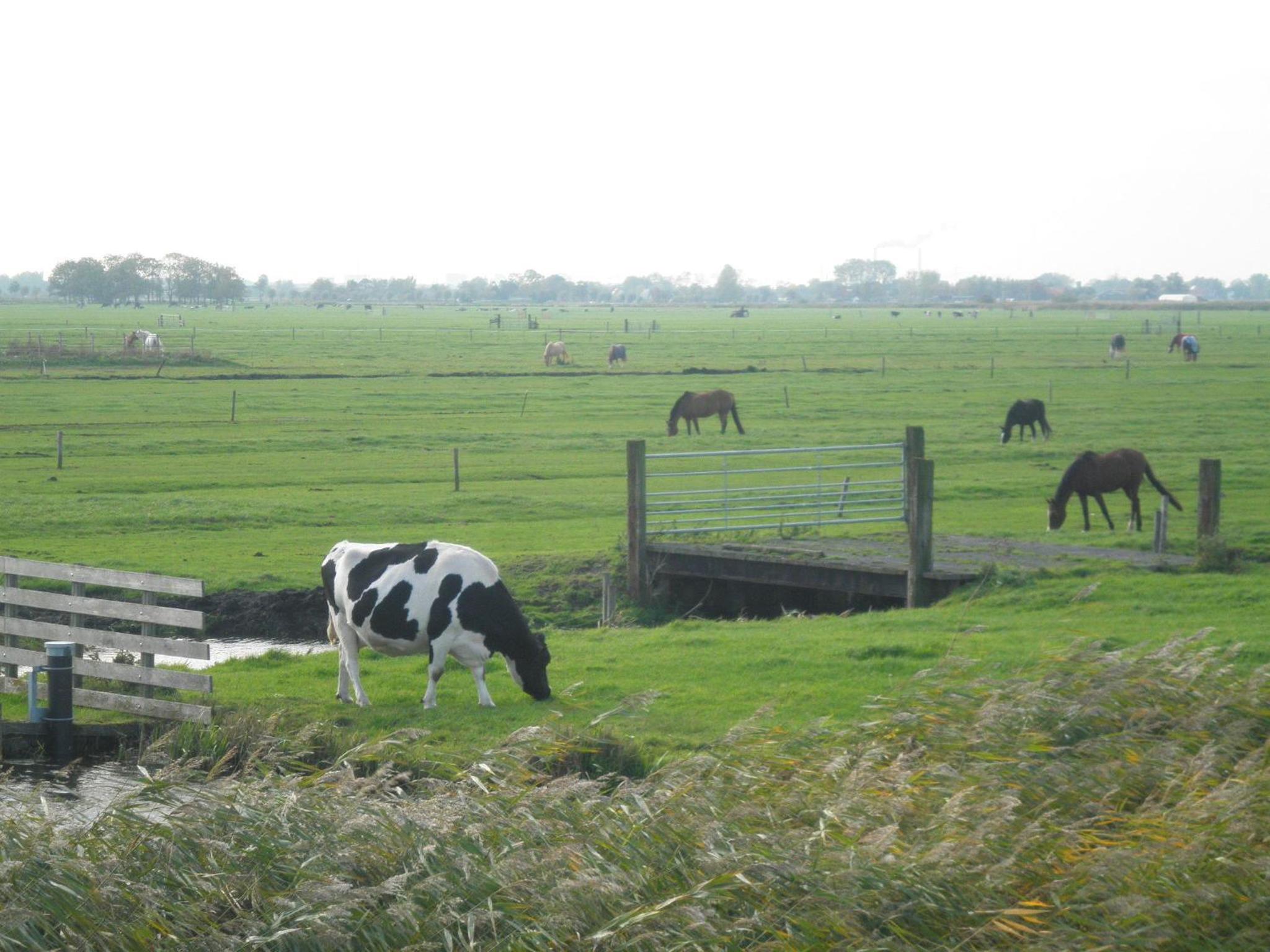 B&B HutSpot