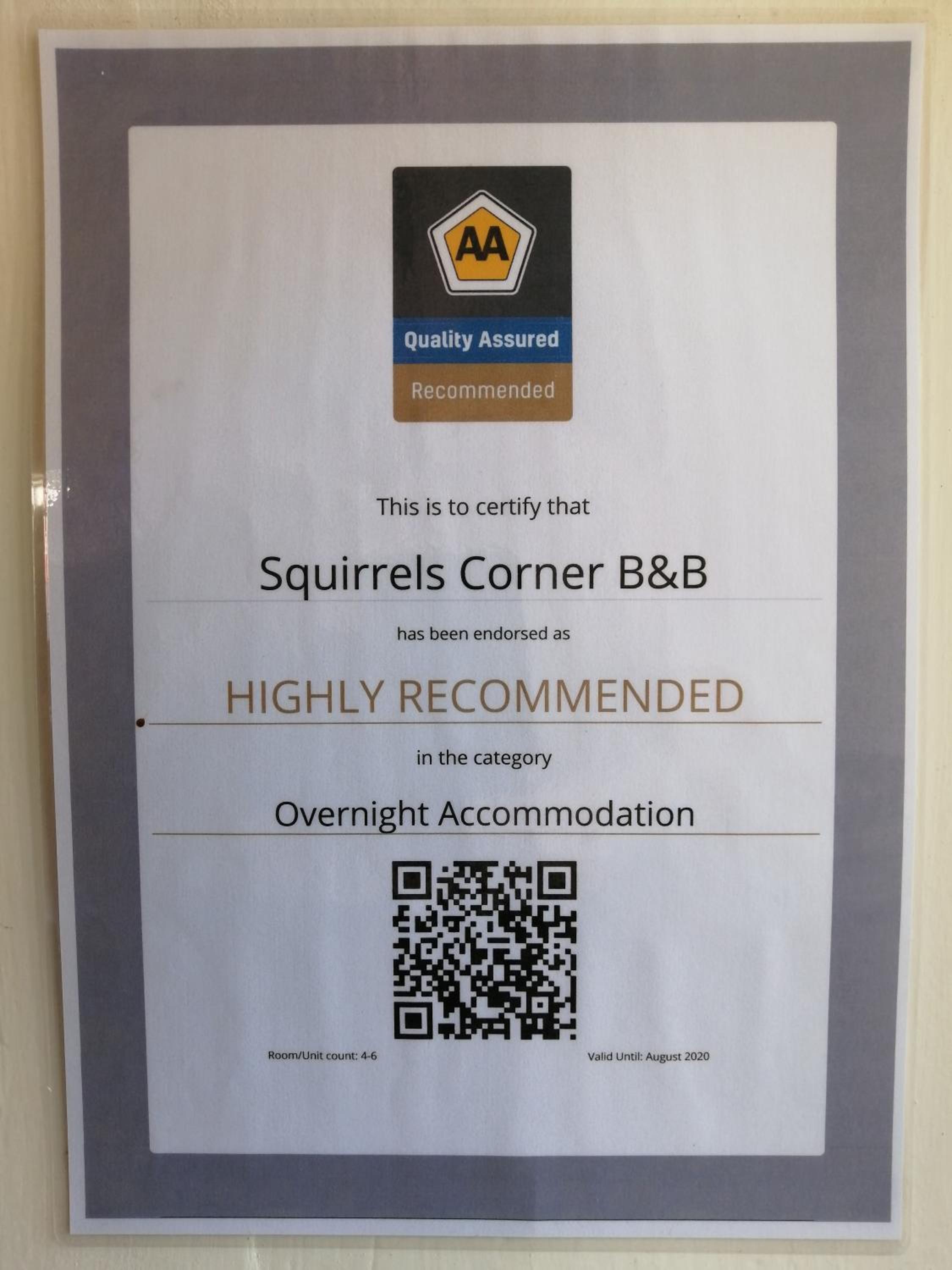 Squirrels Corner