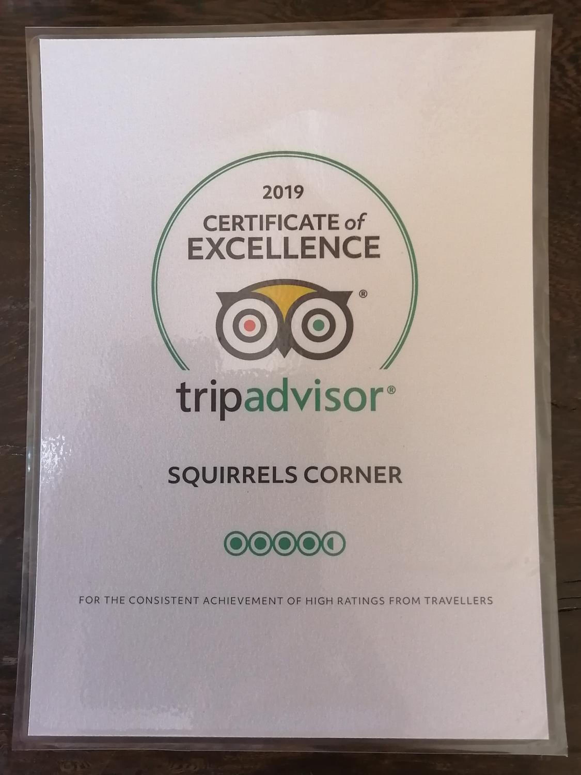 Squirrels Corner