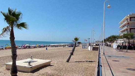 Apartamento Bajo 1 Marjal playa centro de Guardamar view 2
