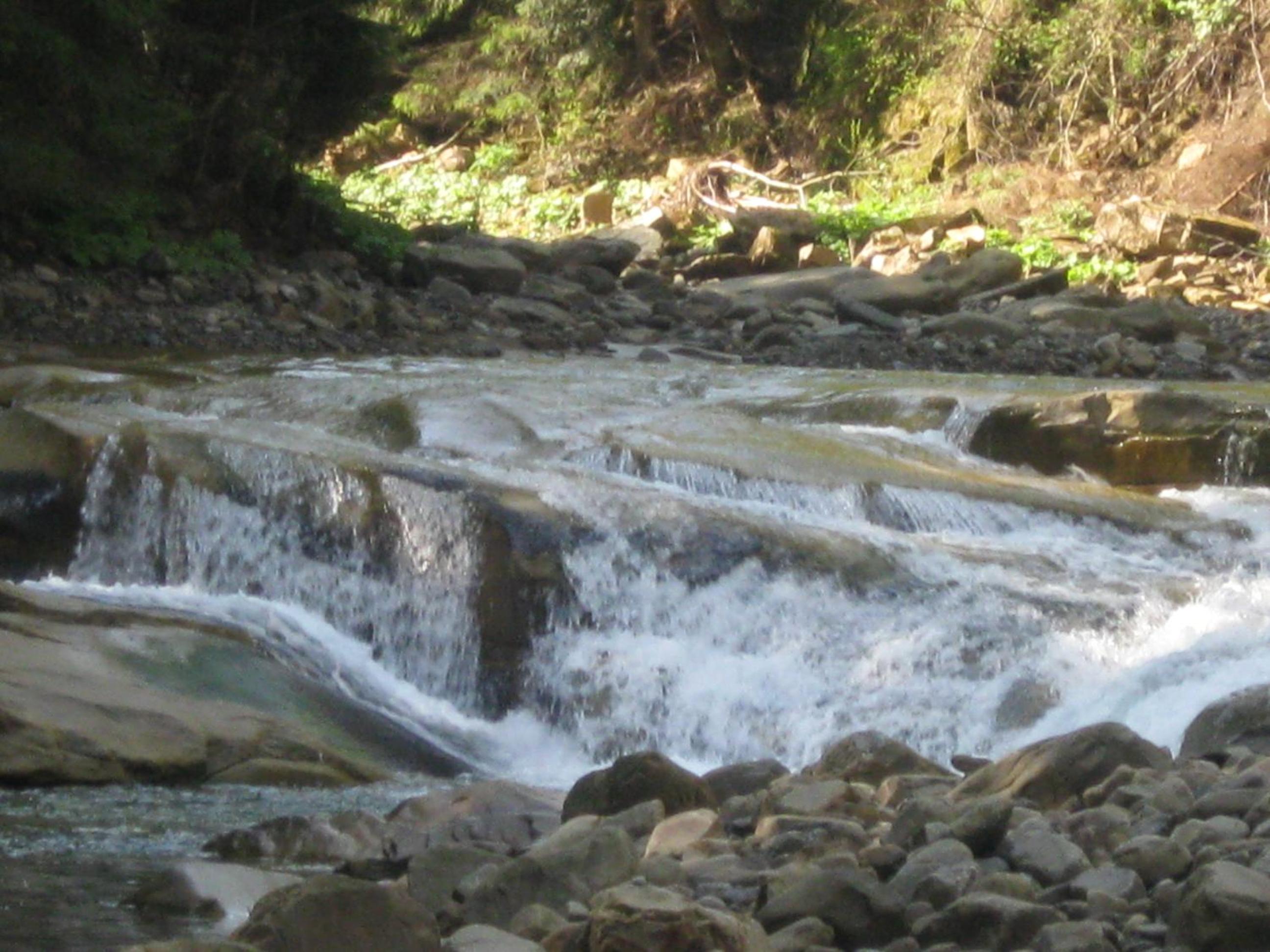 Бацули view 5