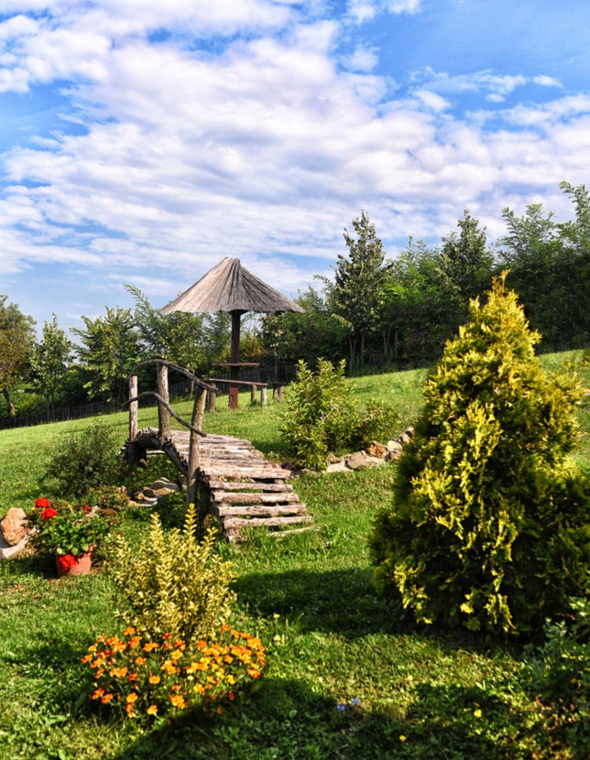 Photo 9