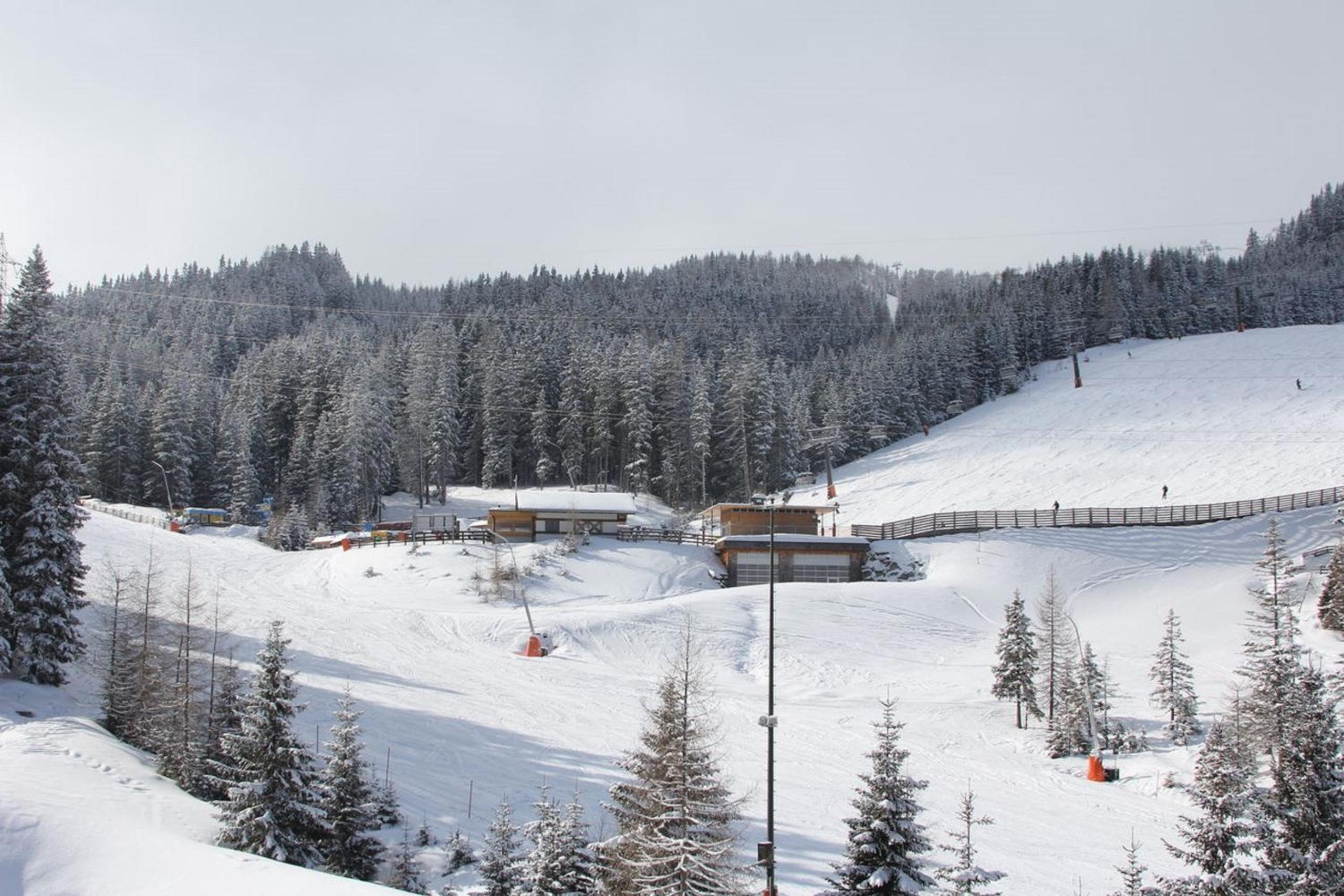 Premium Apartments EDEL:WEISS in Katschberg Carinthia