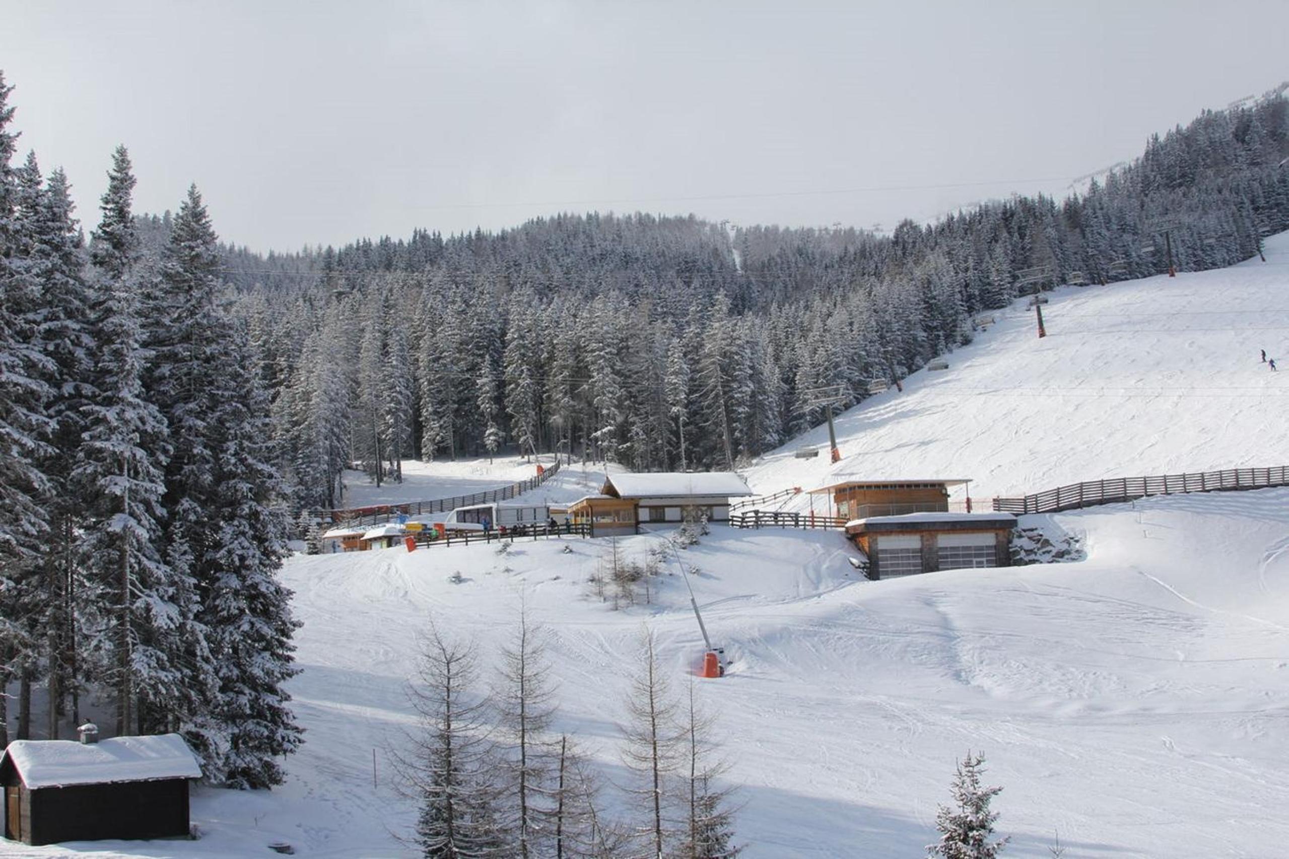 Premium Apartments EDEL:WEISS in Katschberg Carinthia