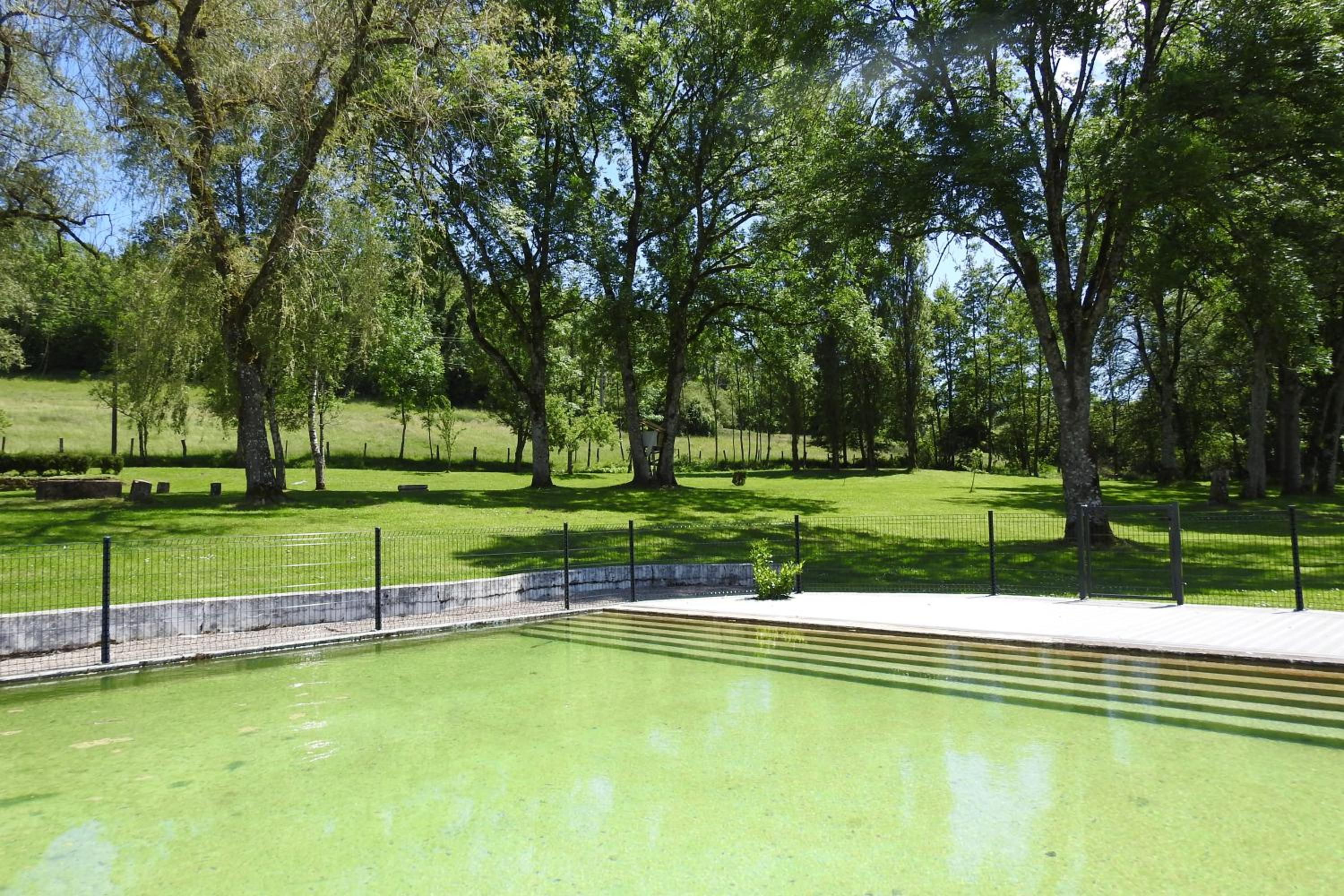 Photo 23
