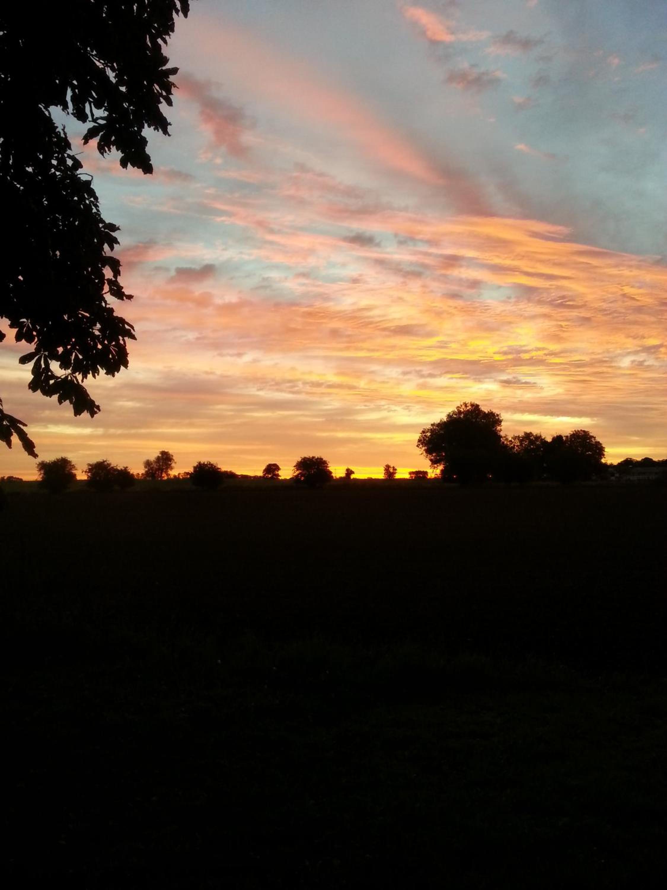Roskilde B&B