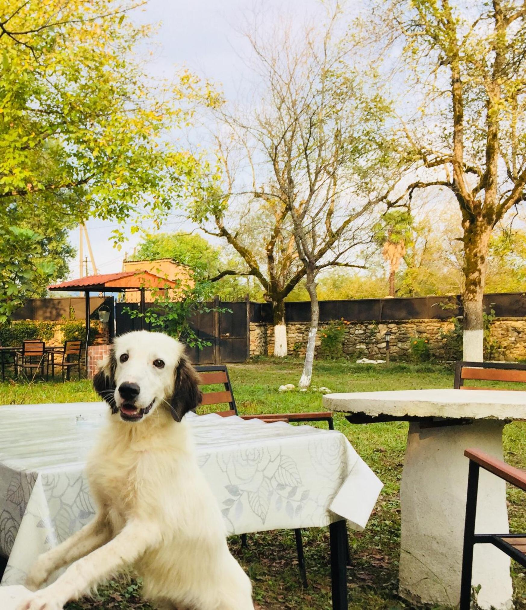 Lazuri Keria Family Guesthouse