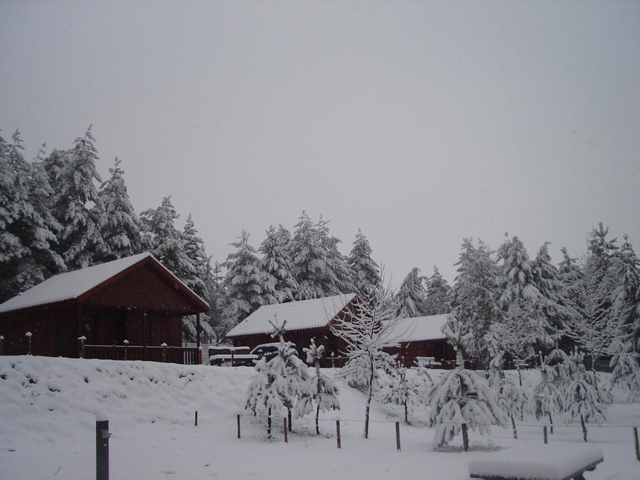 Photo 28
