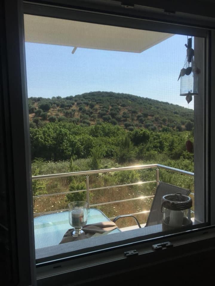 Sofia' s Beach House view 3