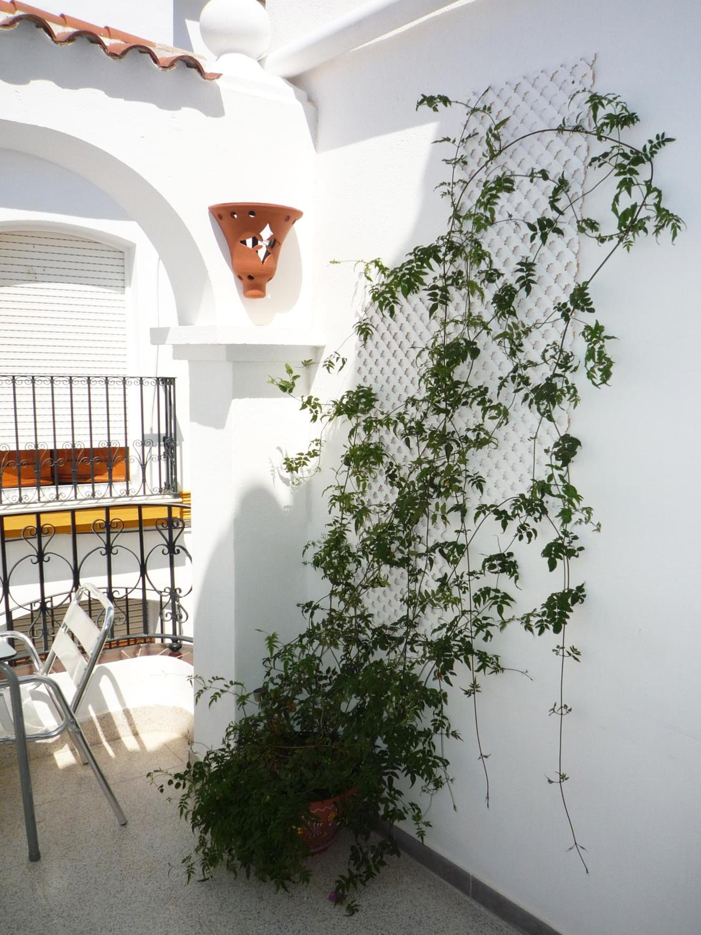 Boutique Hostal 