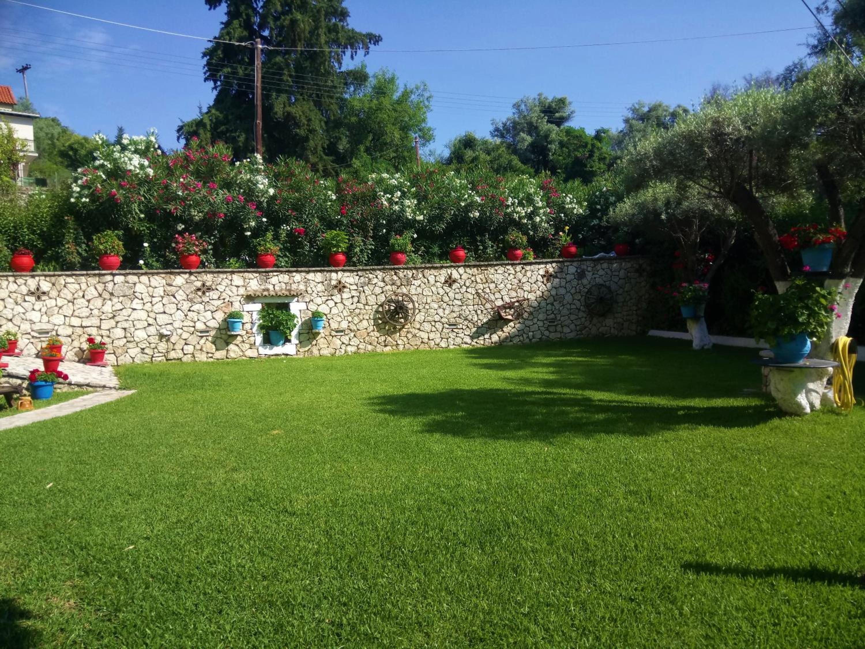 Photo 41