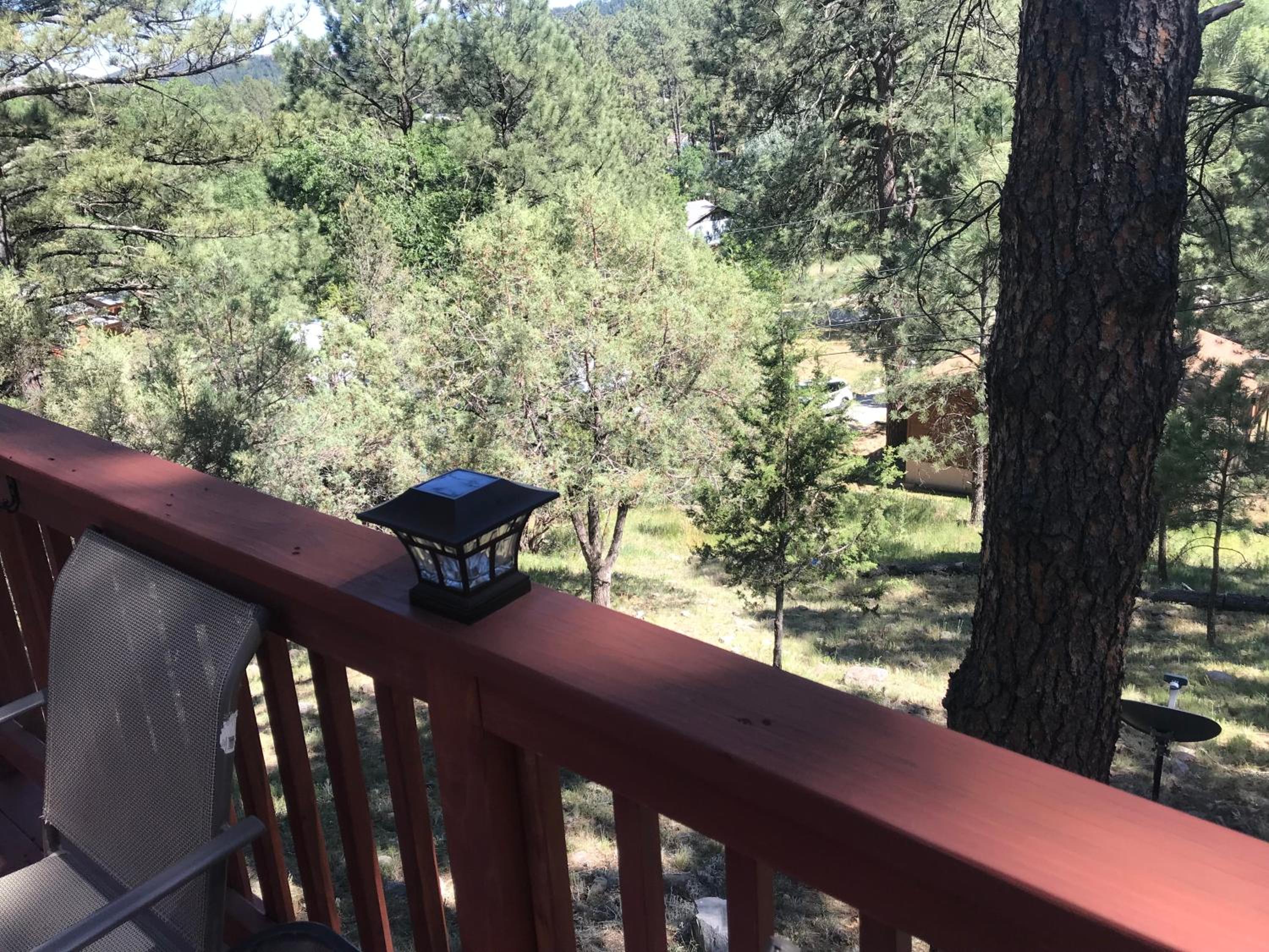 Gonzales Cozy Little Bear Cabin view 3