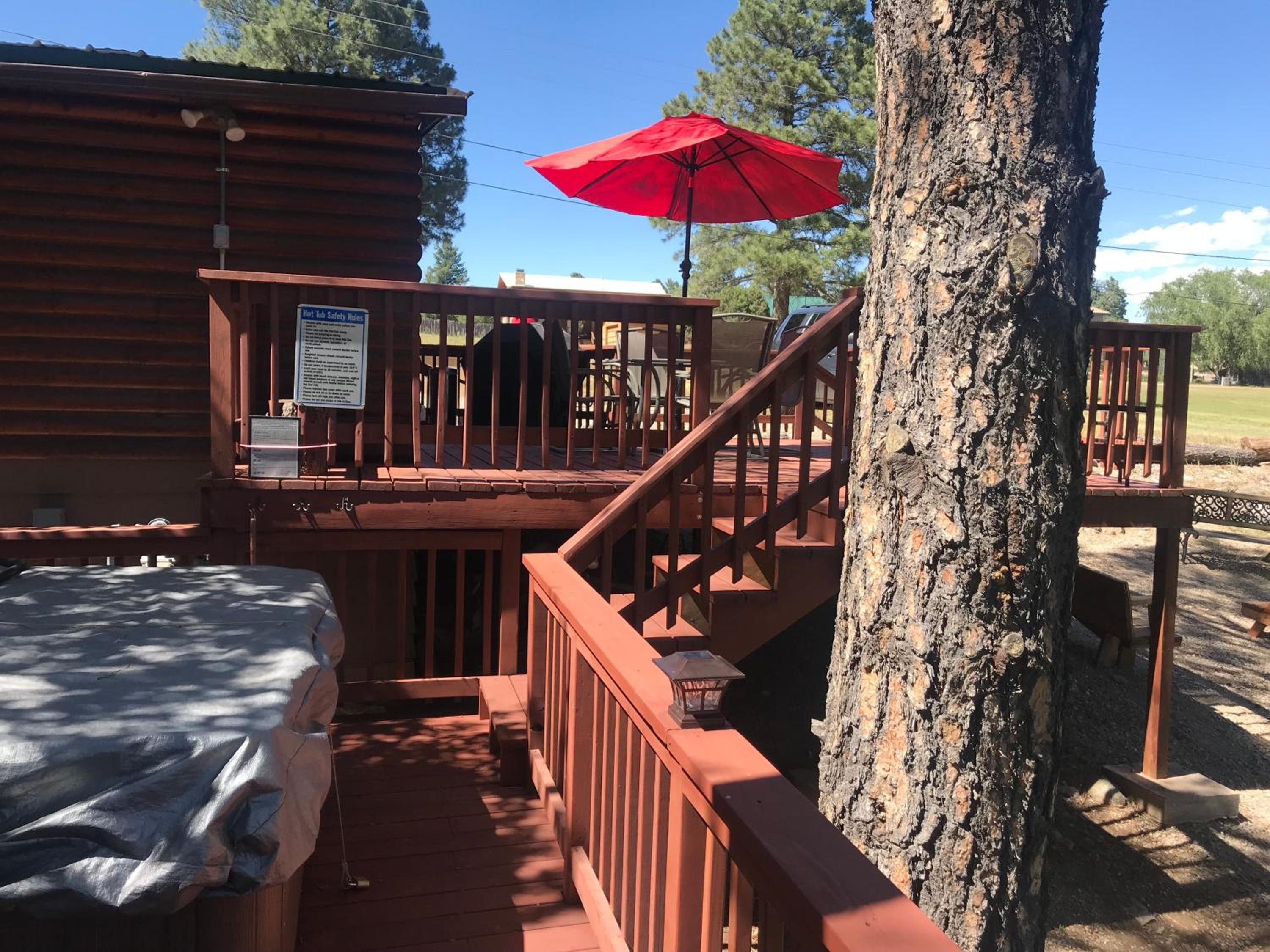 Gonzales Cozy Little Bear Cabin view 4