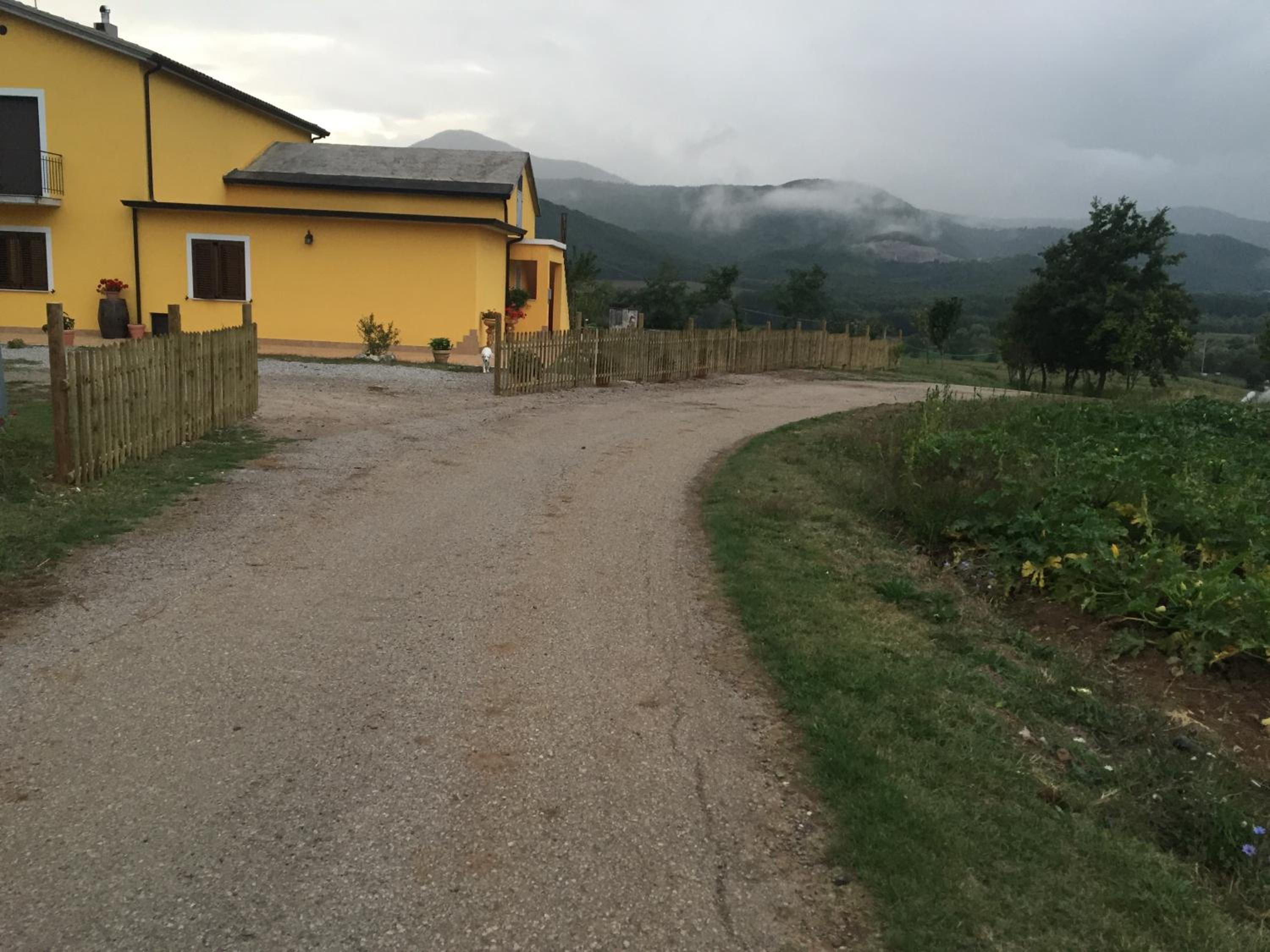 Photo 22