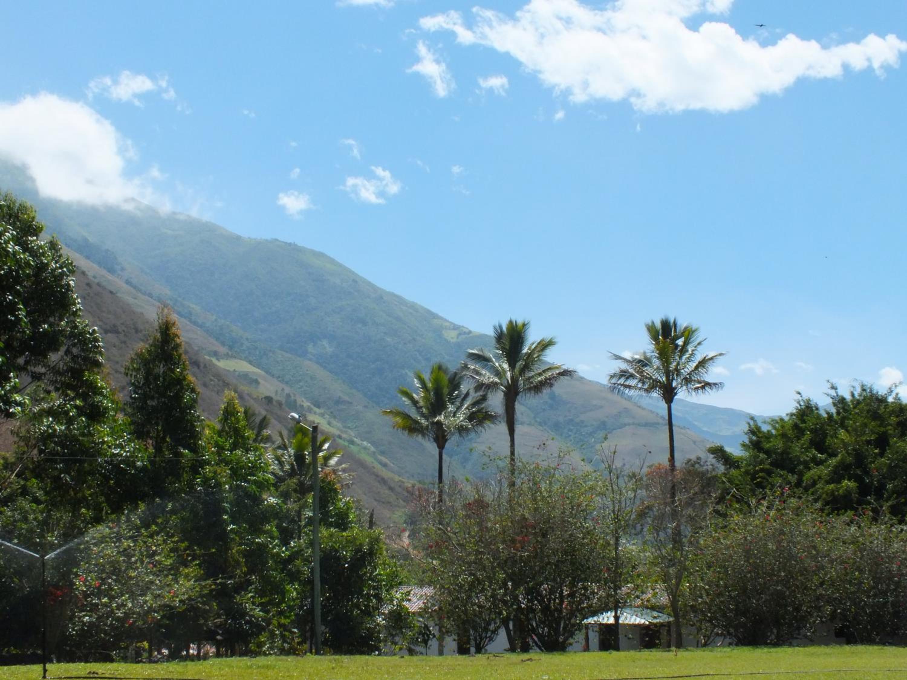 Hostería La Eterna Primavera