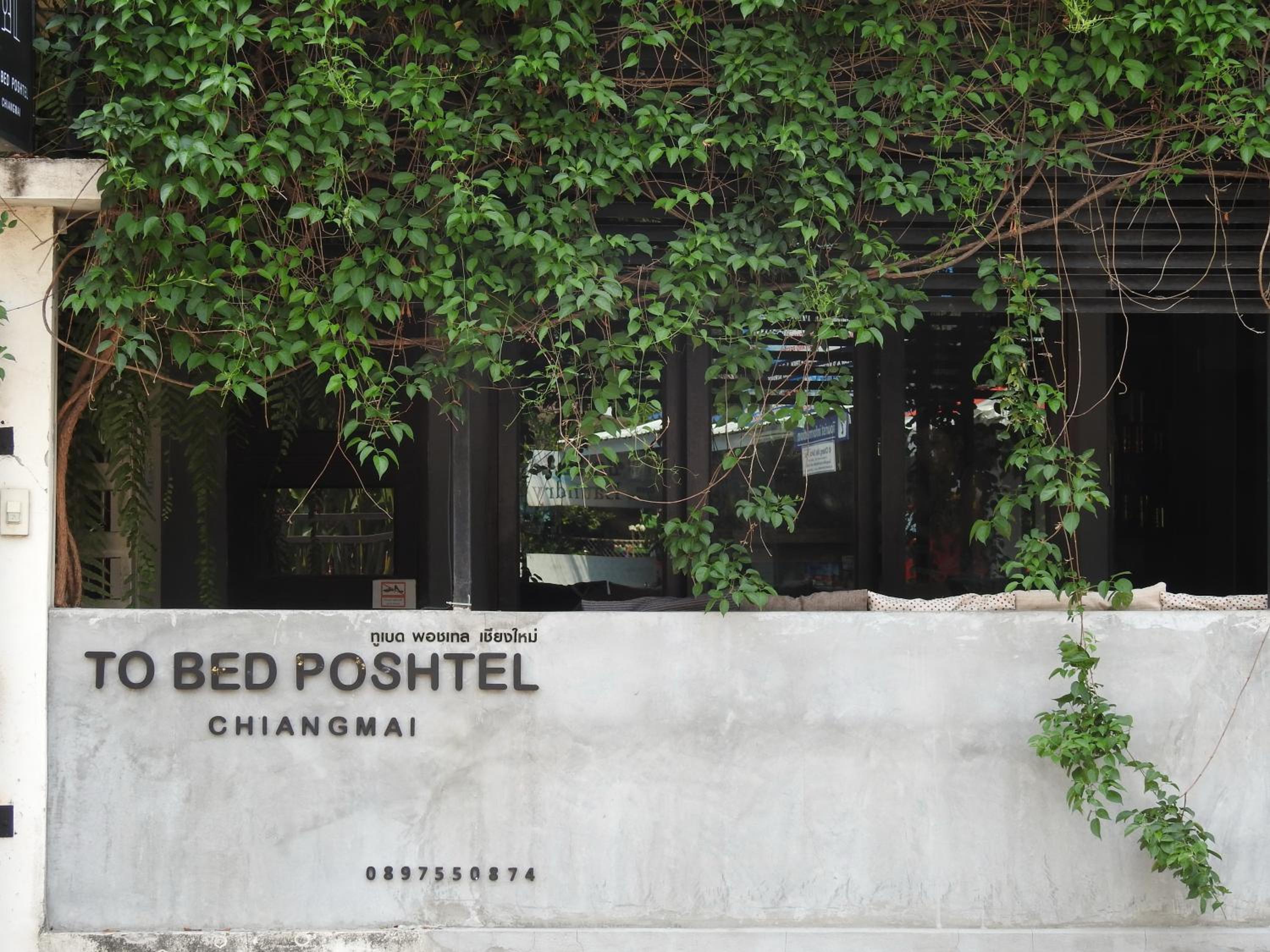 To Bed Poshtel view 2