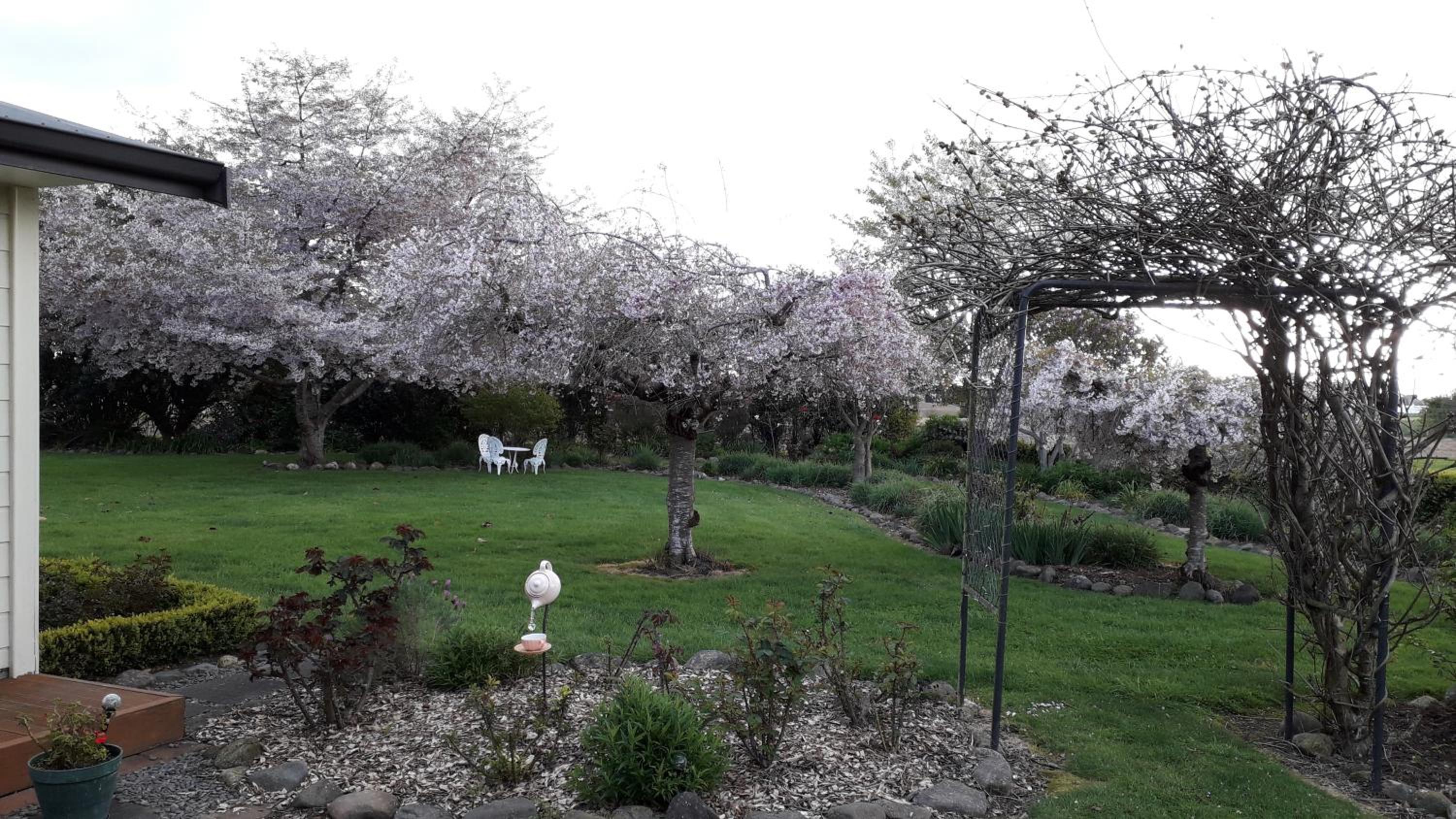Photo 11
