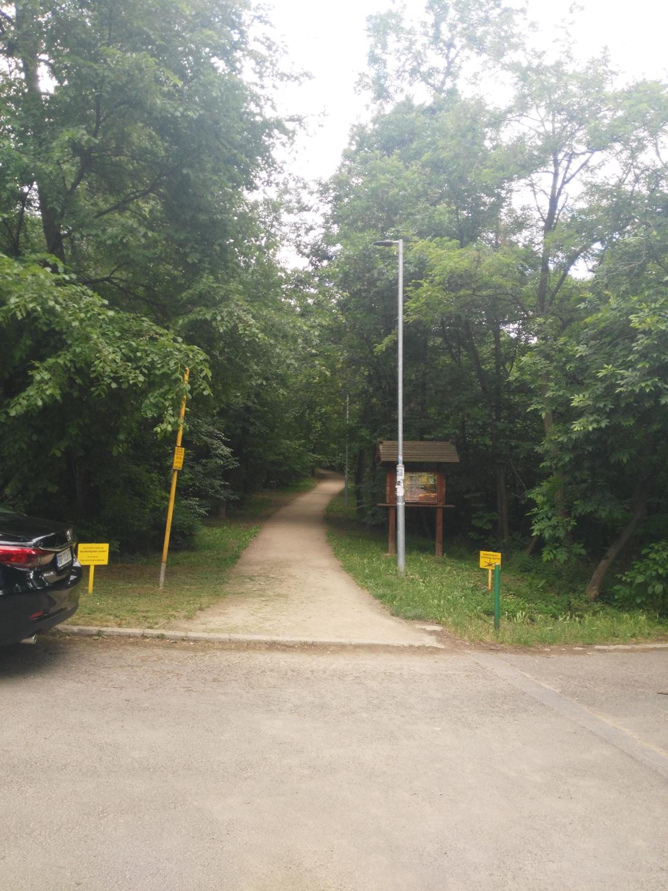 Photo 17