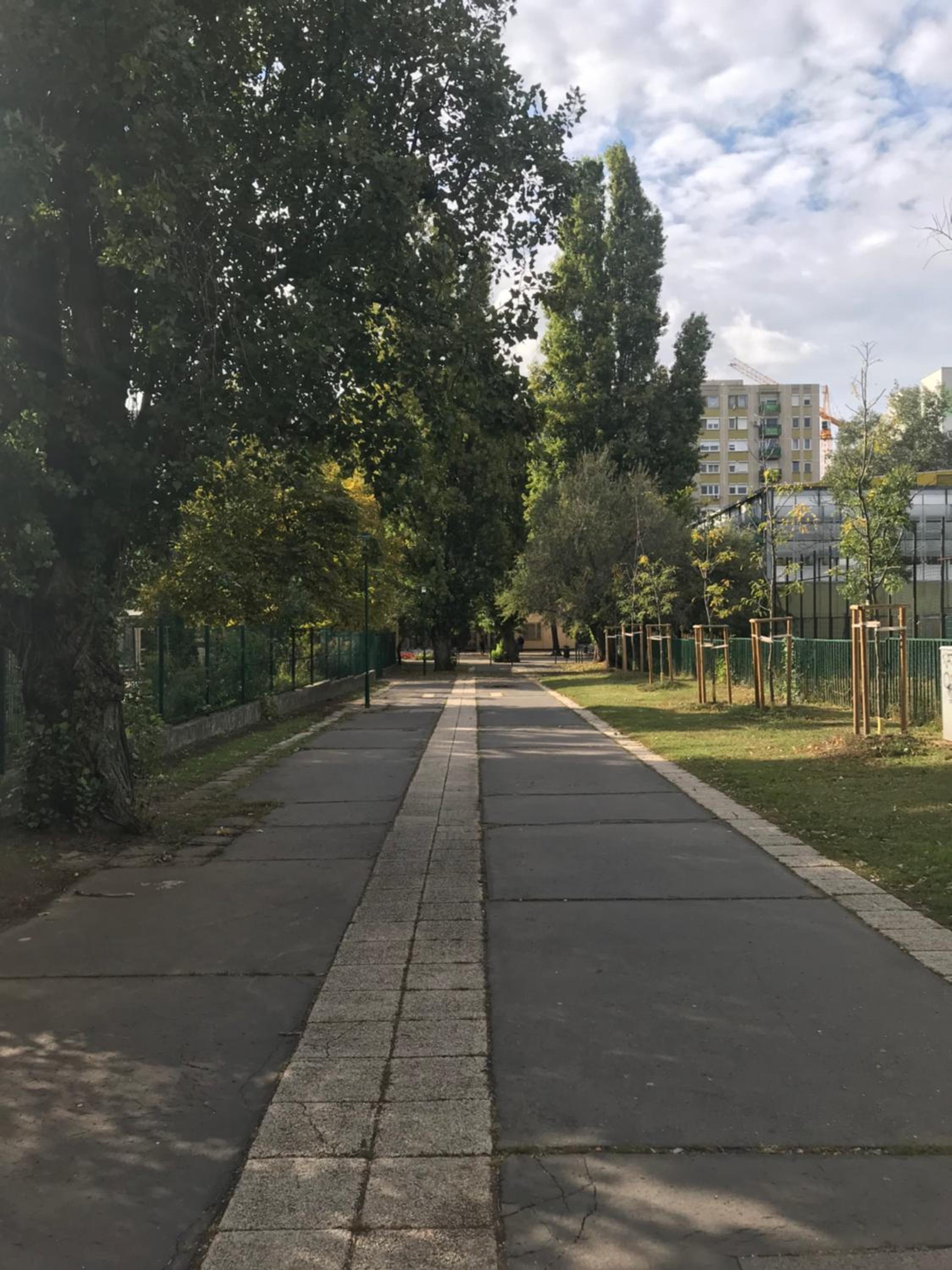 Photo 36
