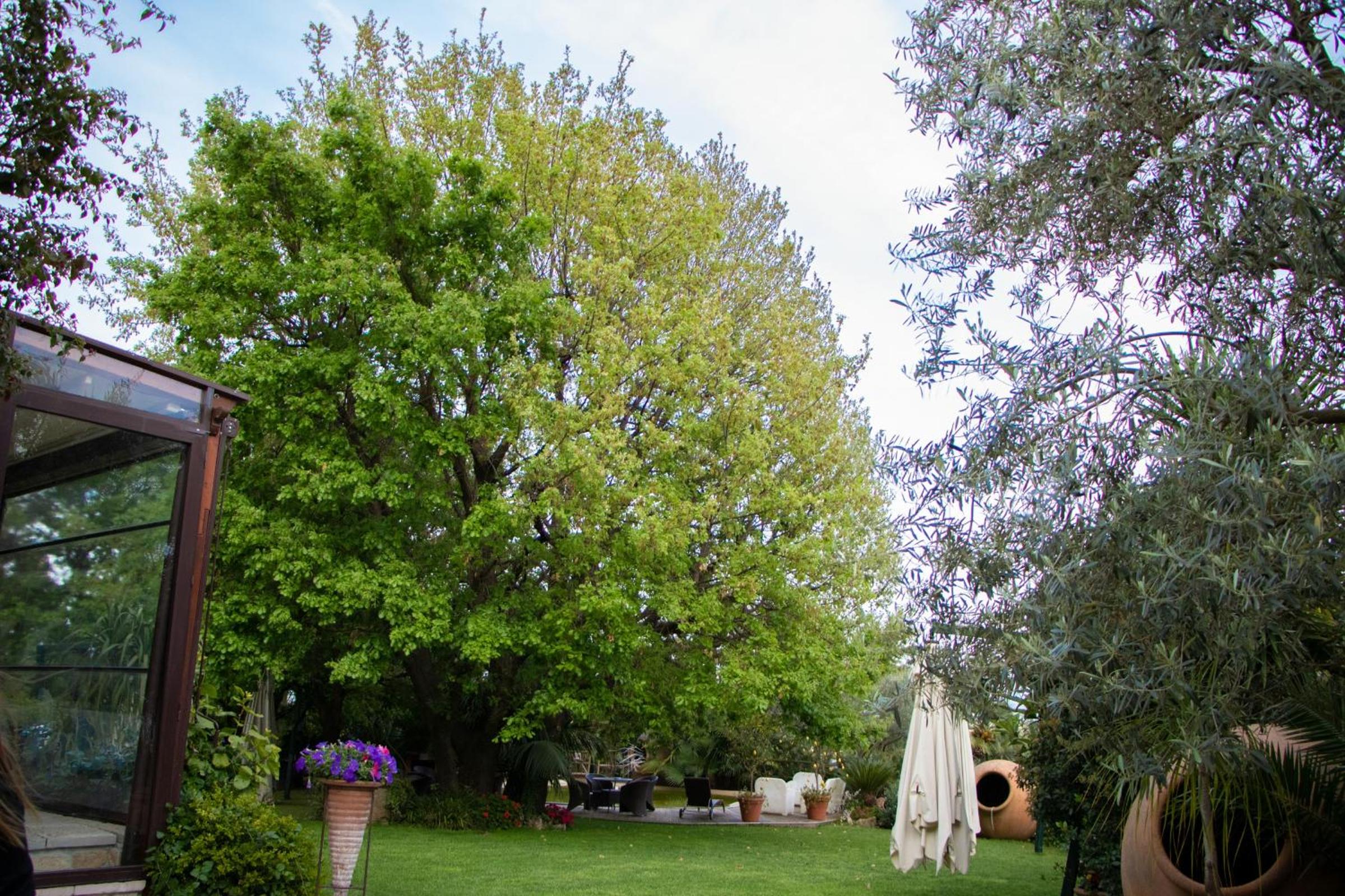 Photo 31