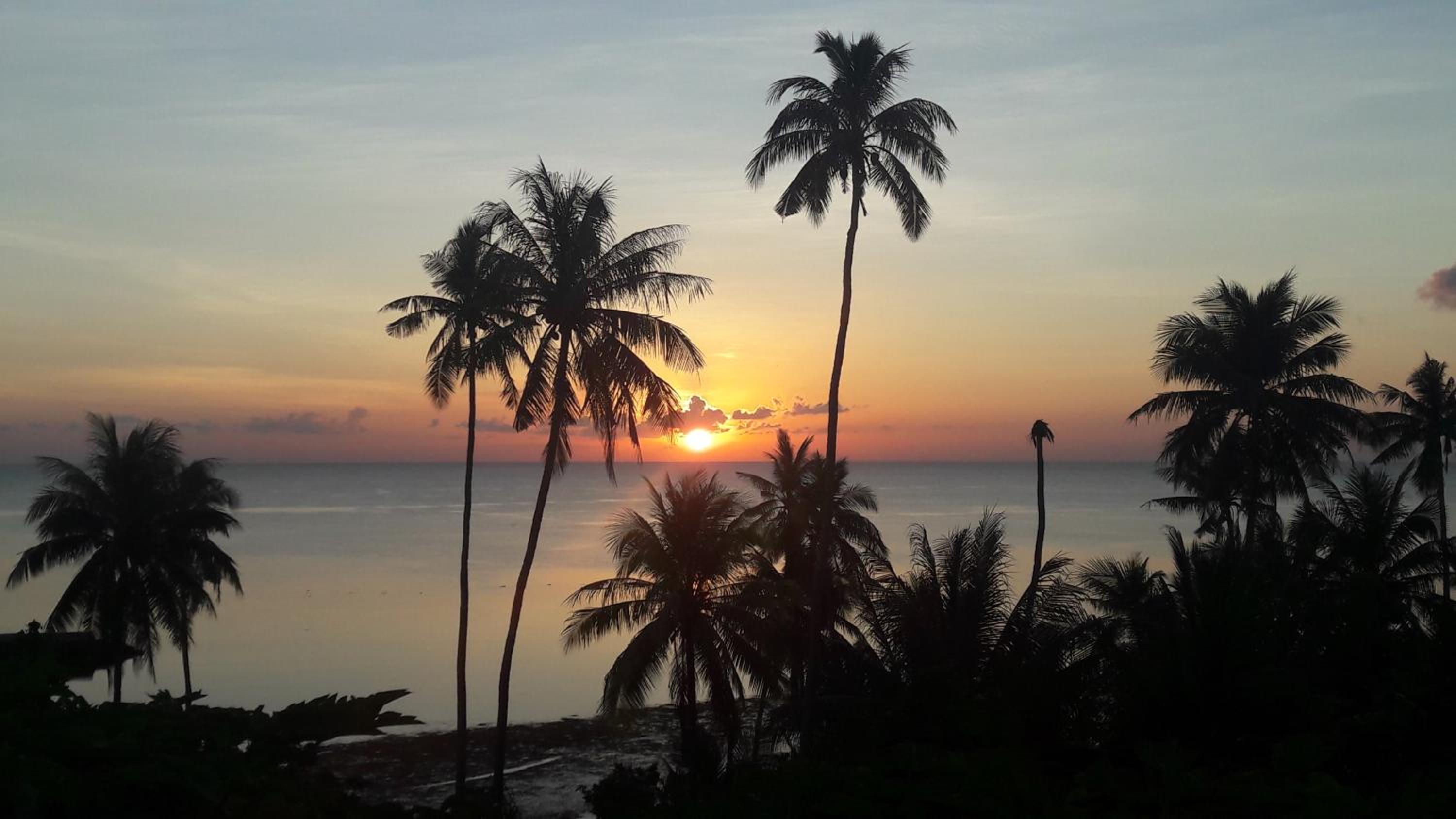 Marind Dive Eco Resort Wakatobi view 4