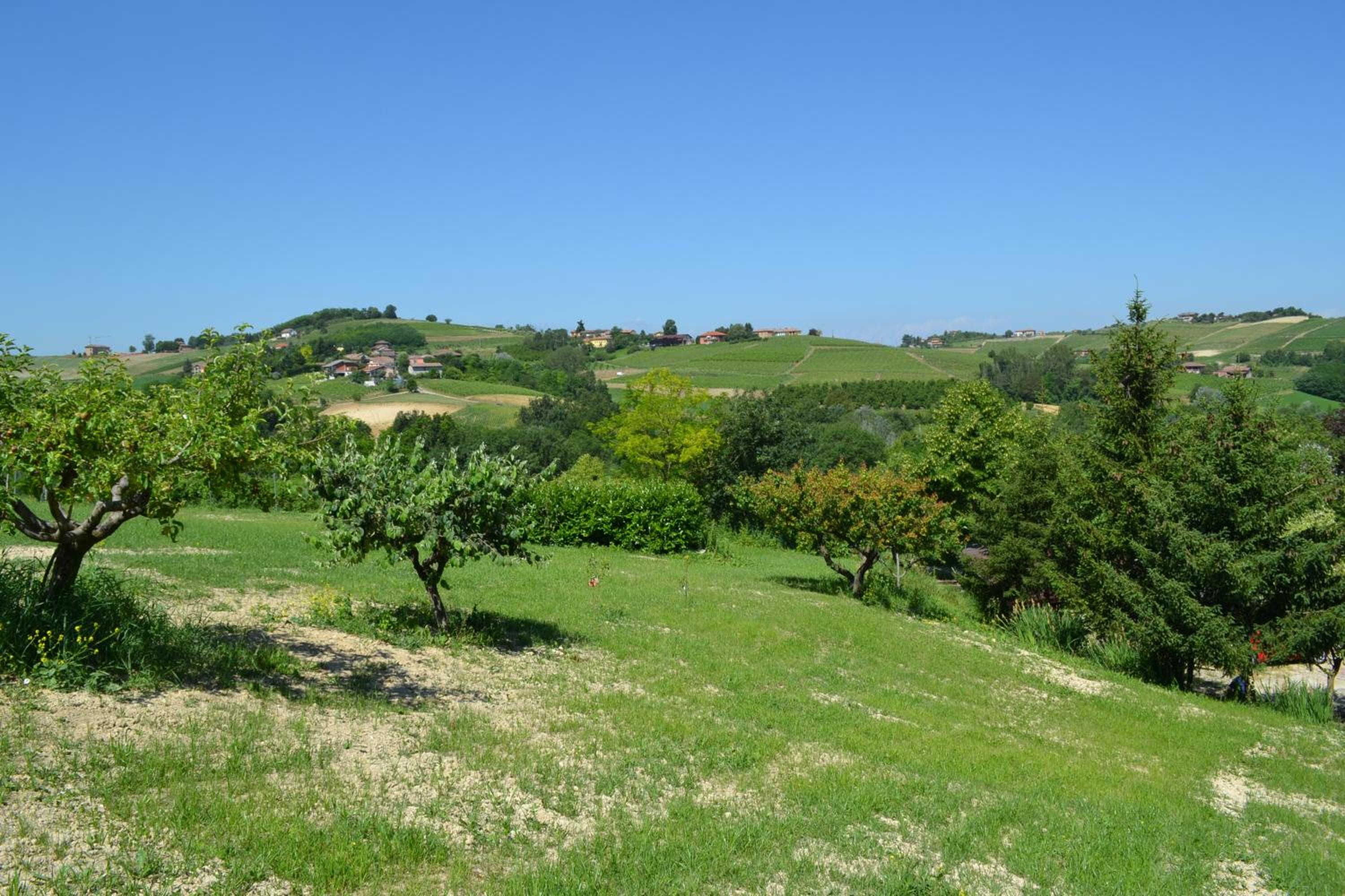 La Cascina dei Banditi view 4