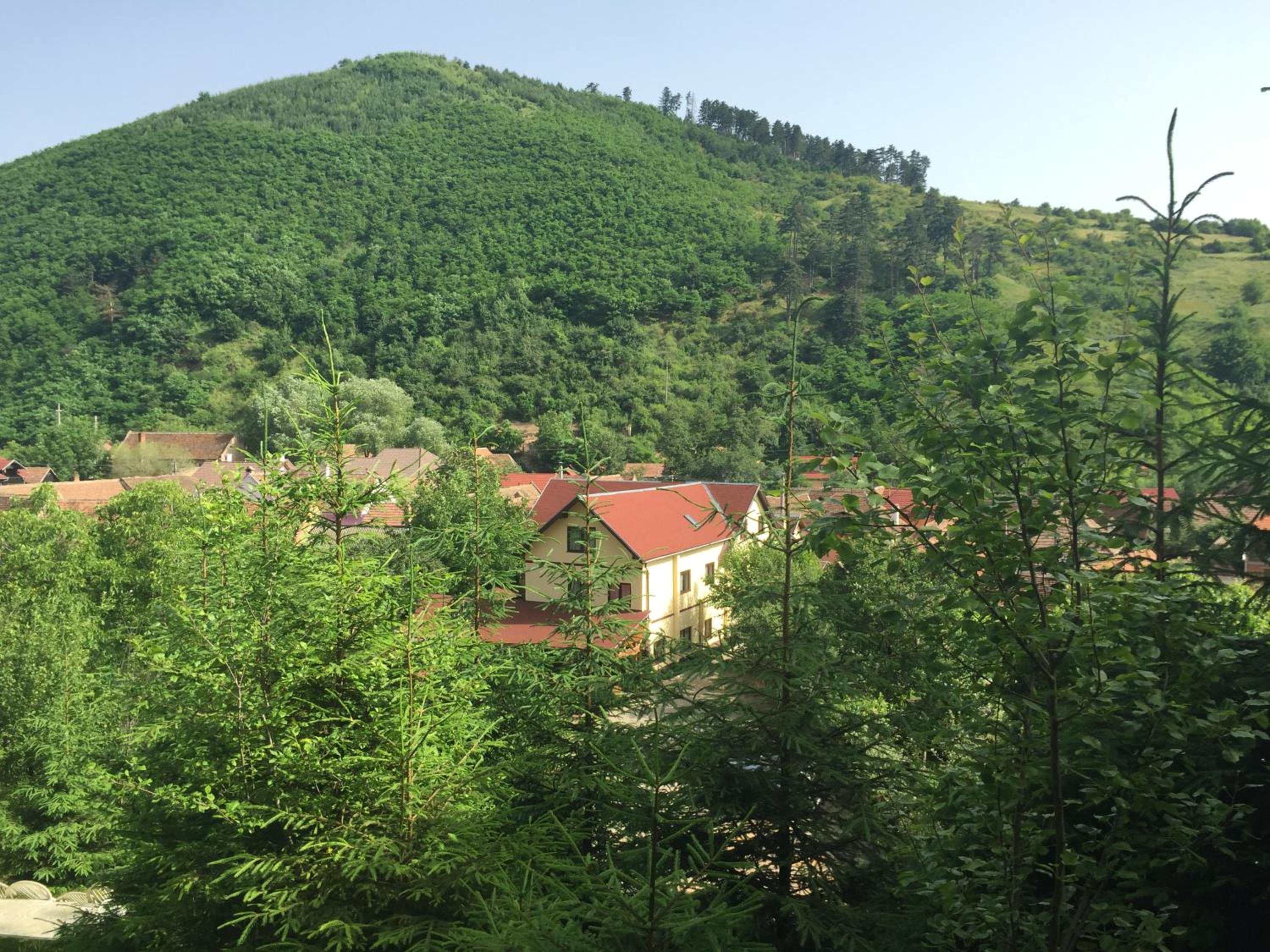 Pensiunea Domnescu