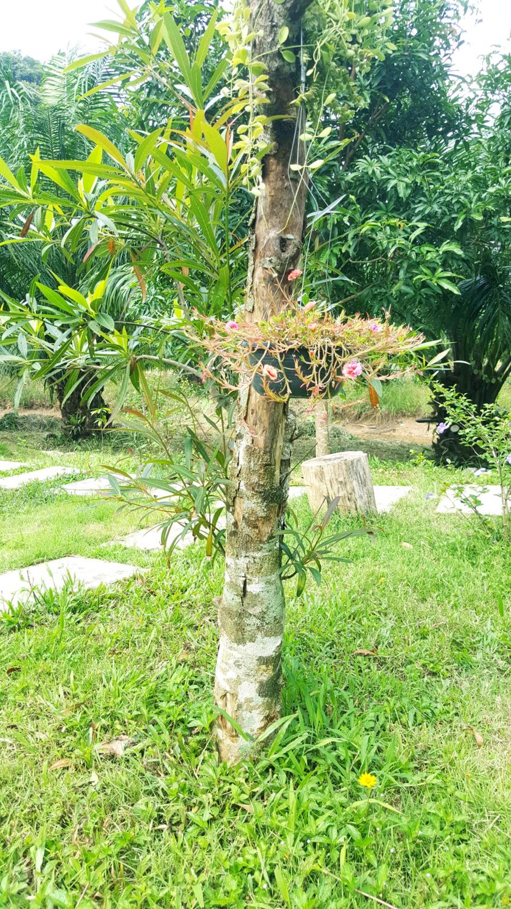 Photo 28