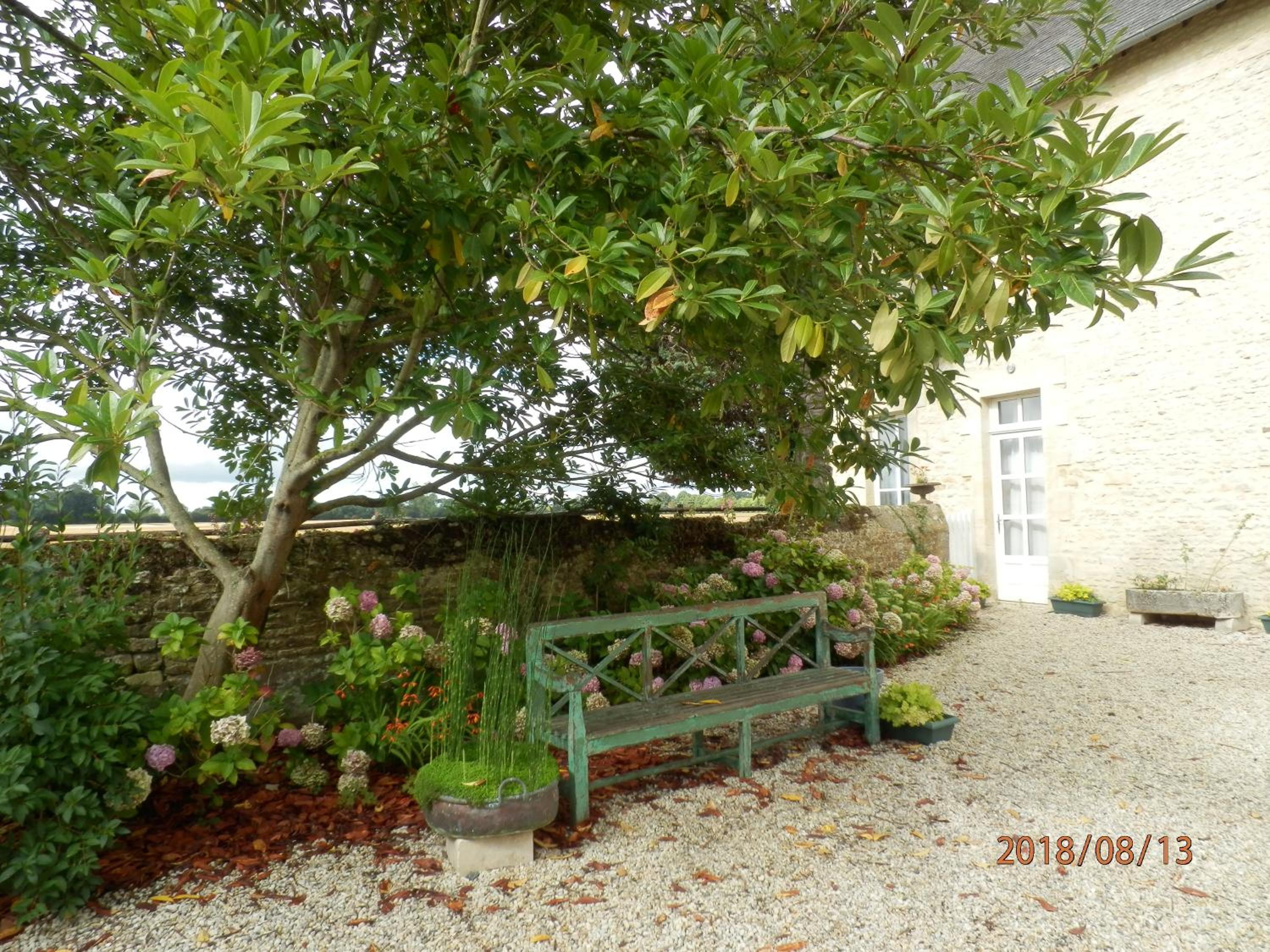 Photo 7