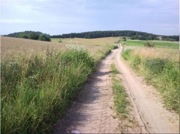Photo 24
