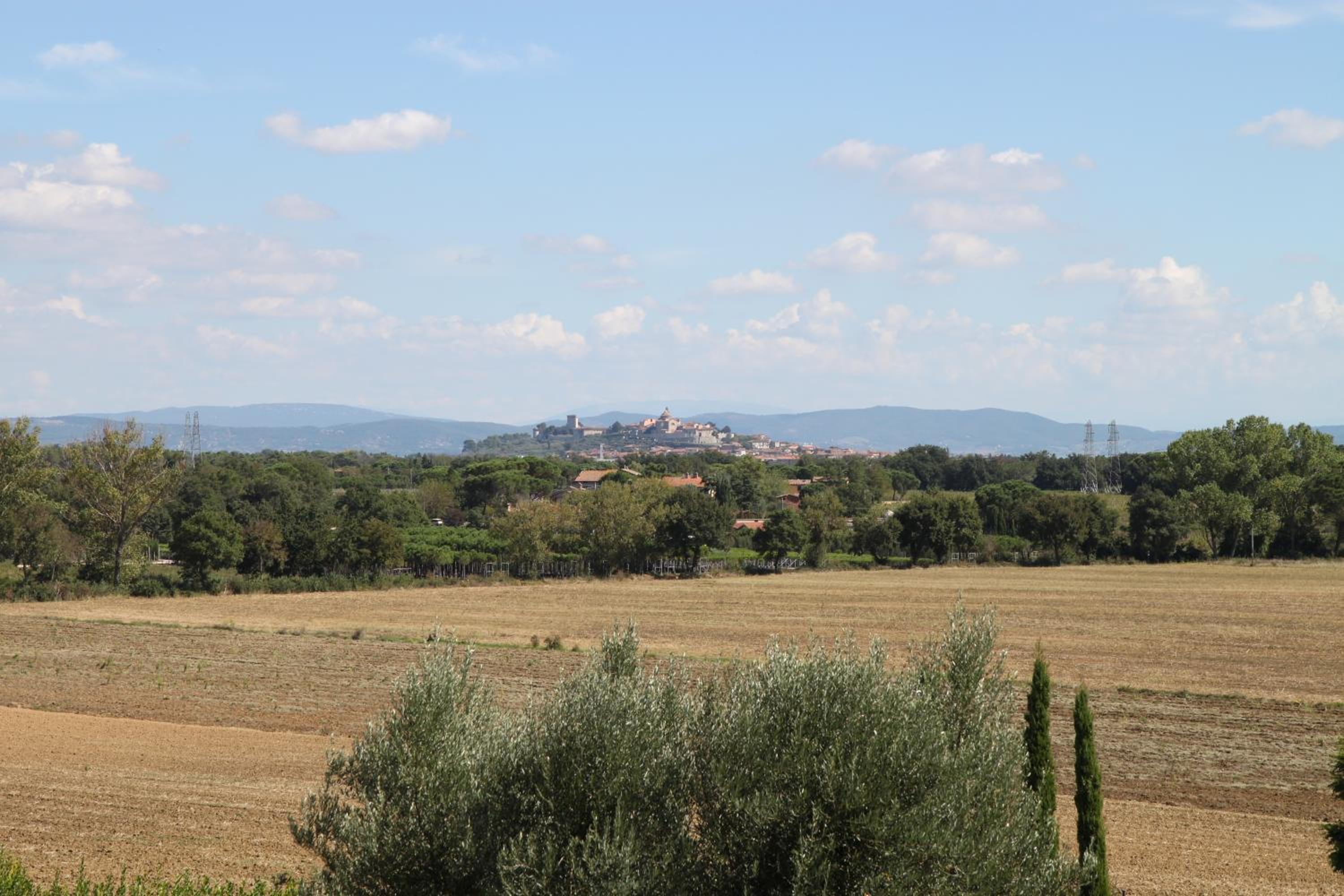 Agriturismo Verbena