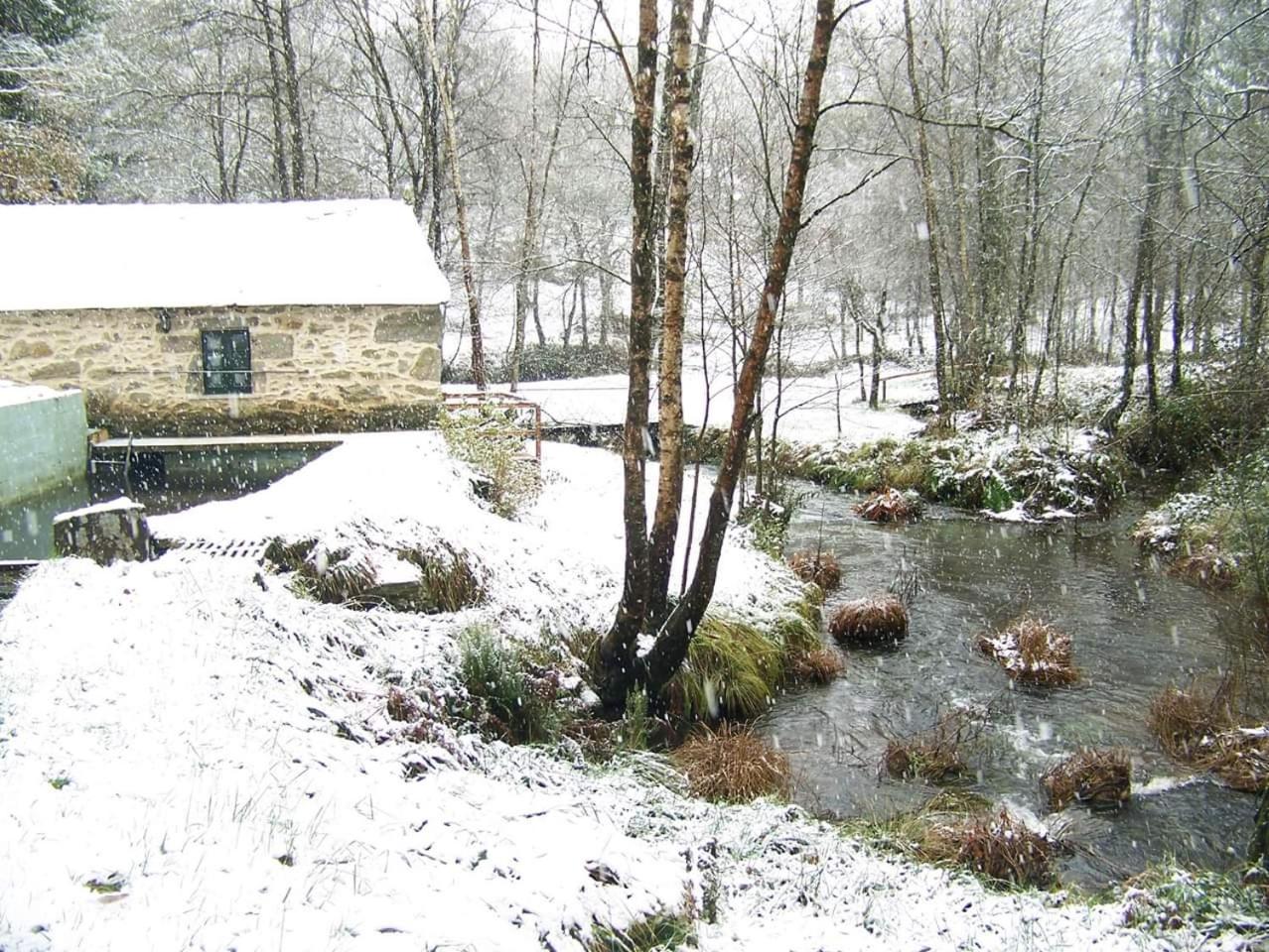 Molino de Louzao photo 2