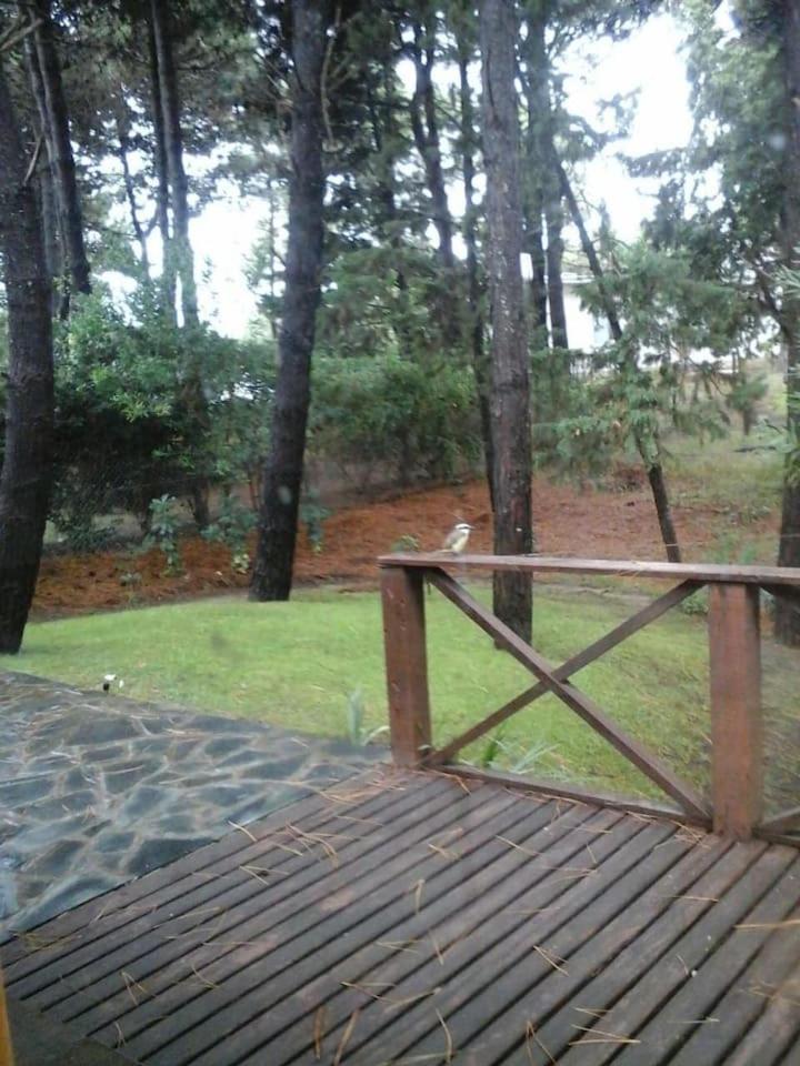 Casa completa en el bosque para 8 personas no aceptamos grupos de jovenes