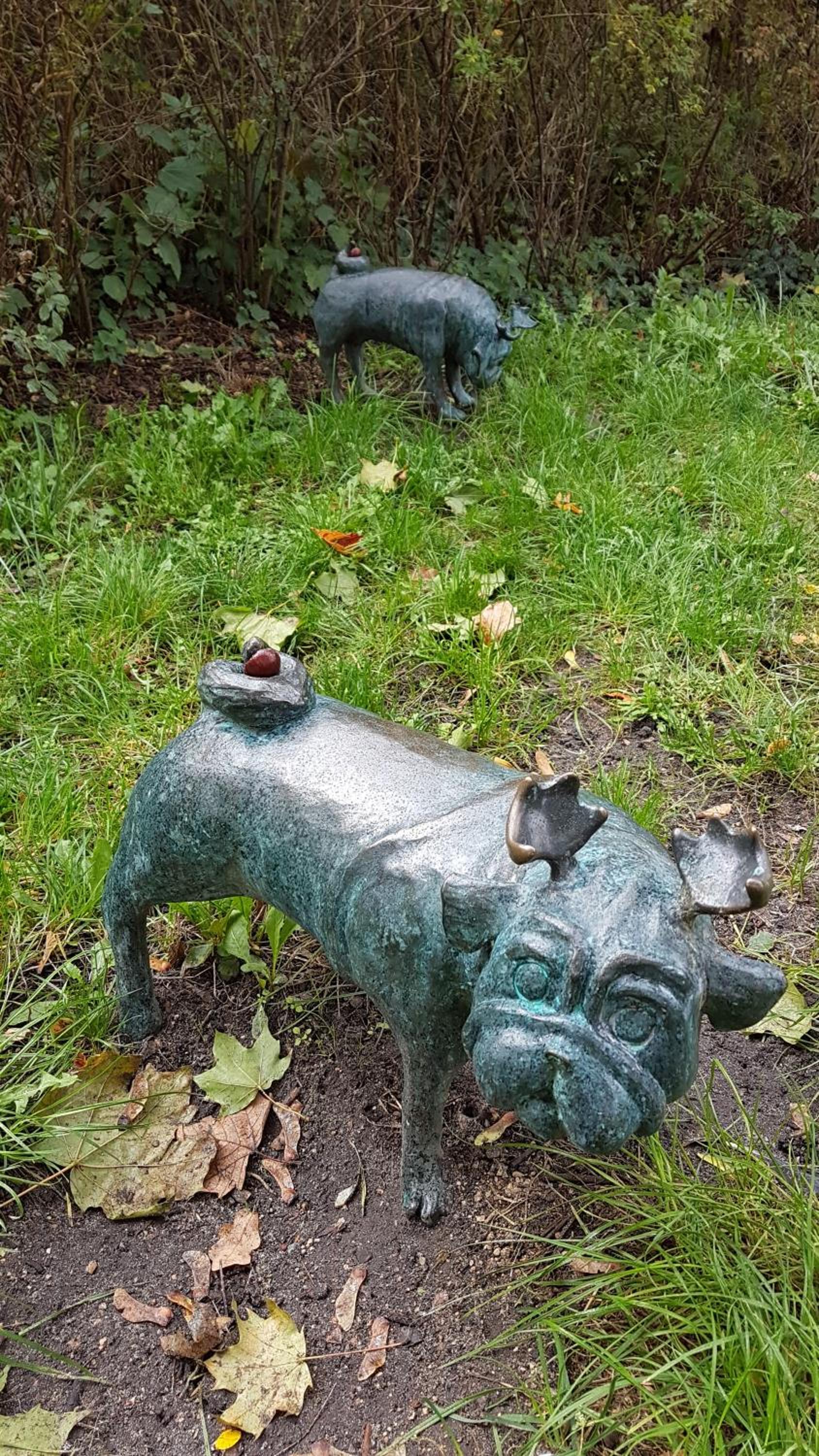 Photo 16