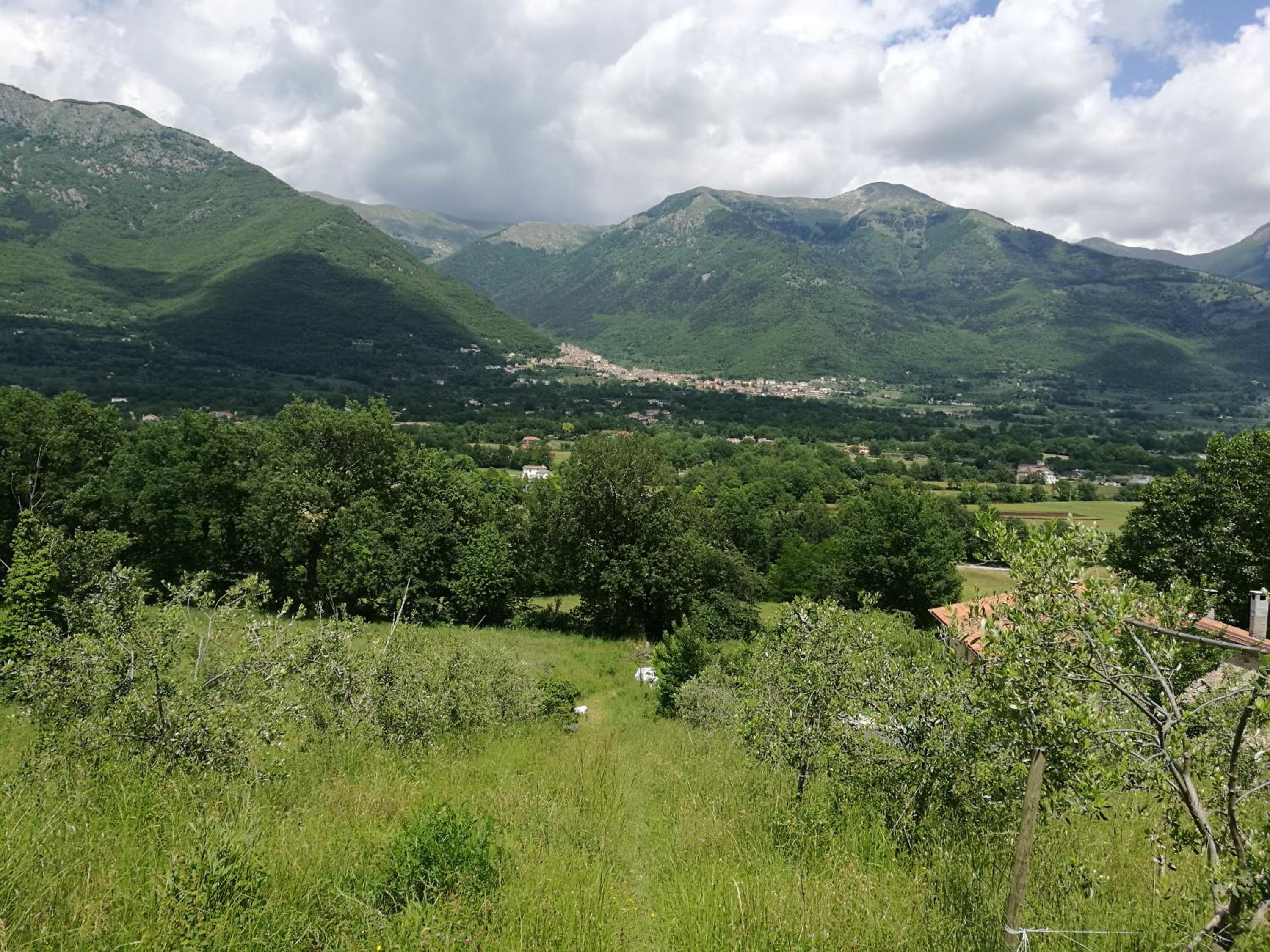 Tenuta Castelli, fotografía 2