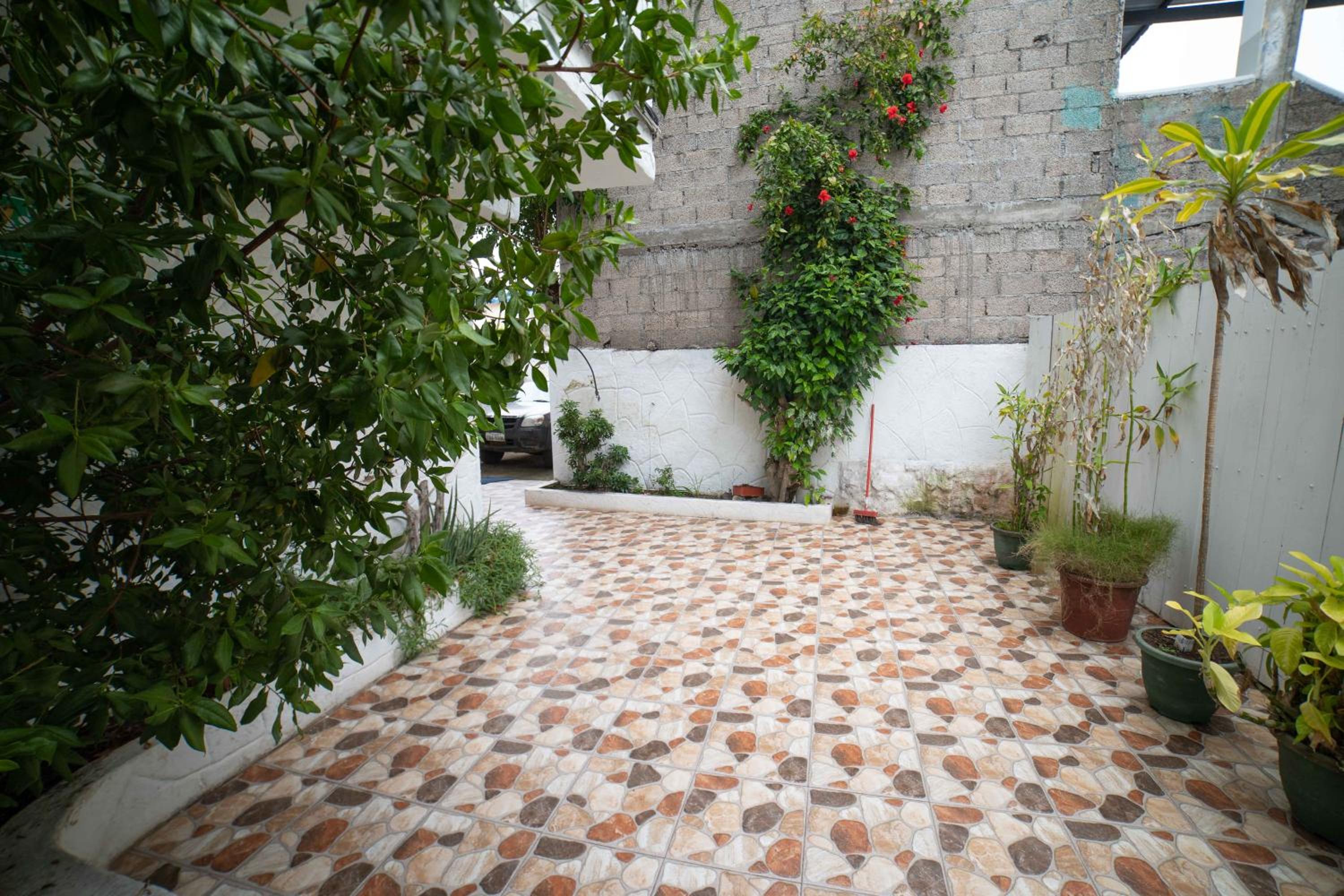 Hostal Estrella de Mar view 3
